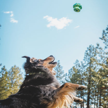 Ruffwear Toadstool, Hundespielzeug - Woofshack