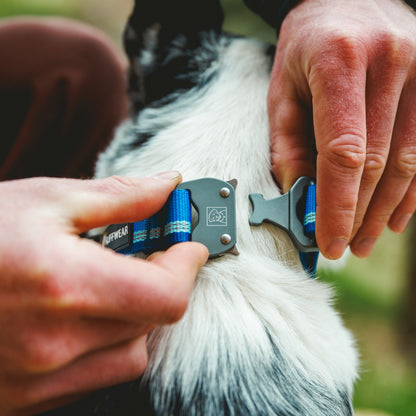 Ruffwear Top Rope Collar, Hundehalsband - Woofshack