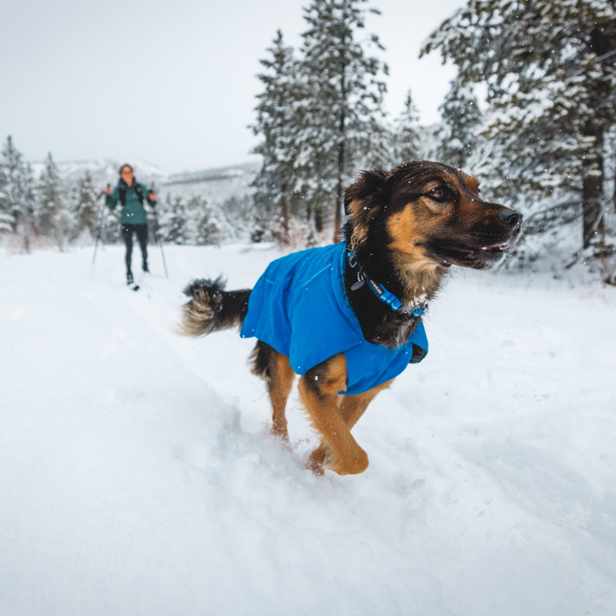 Ruffwear Top Rope Collar, Hundehalsband - Woofshack