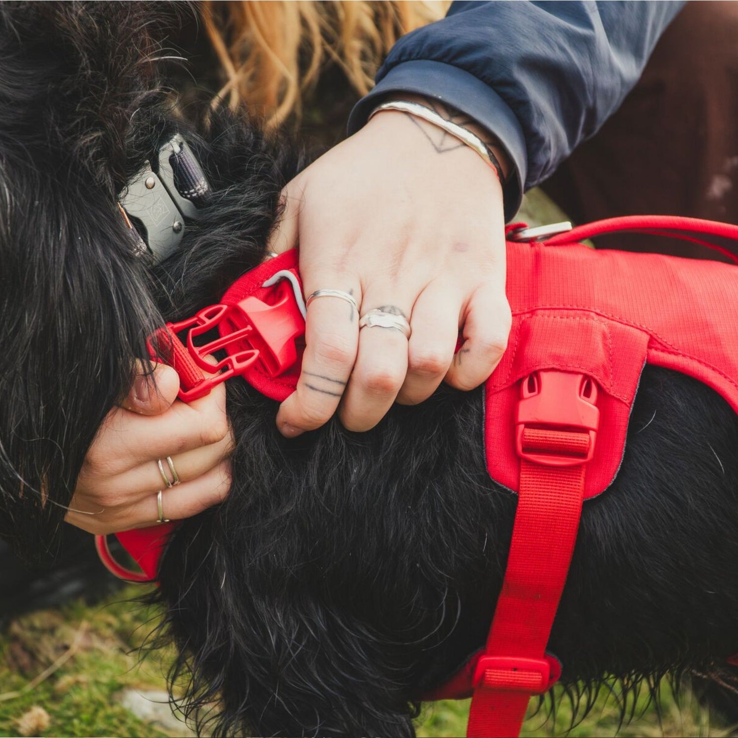 Ruffwear Web Master Harness, Hundegeschirr - Woofshack