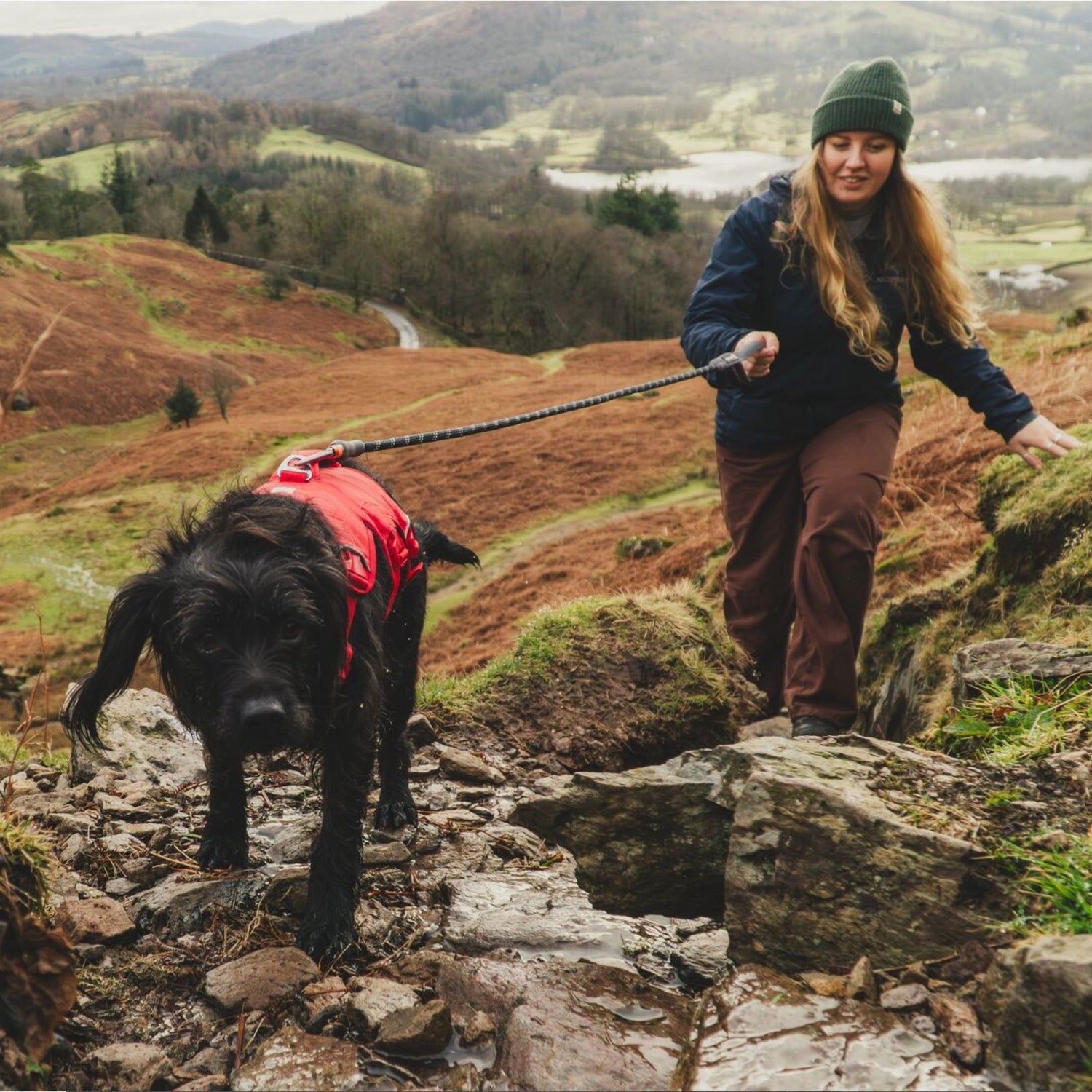 Ruffwear Web Master Harness, Hundegeschirr - Woofshack