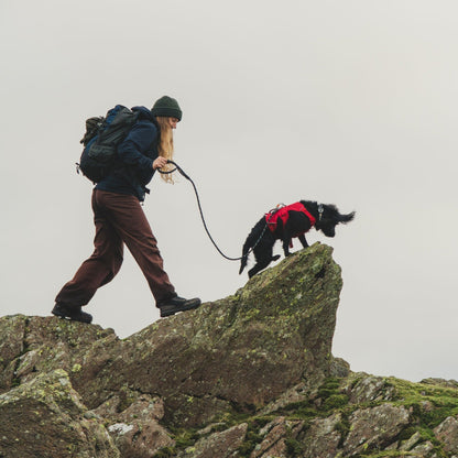 Ruffwear Web Master Harness, Hundegeschirr - Woofshack