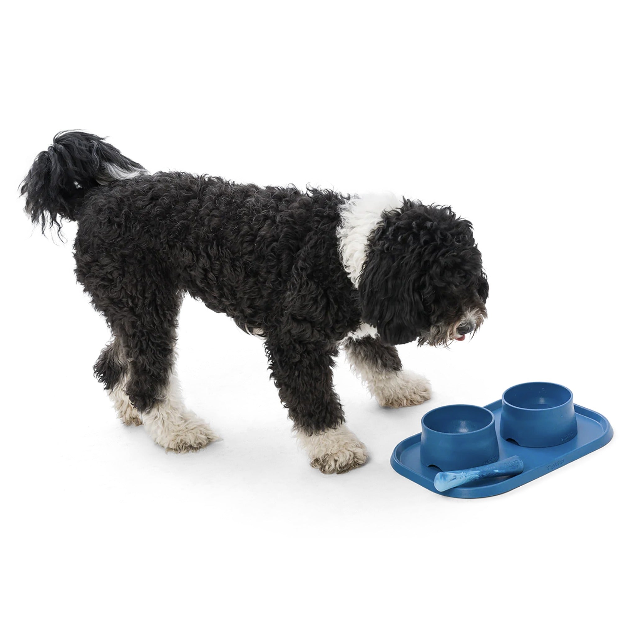 West Paw Seaflex Doggie Placemat, Napfunterlage - Woofshack