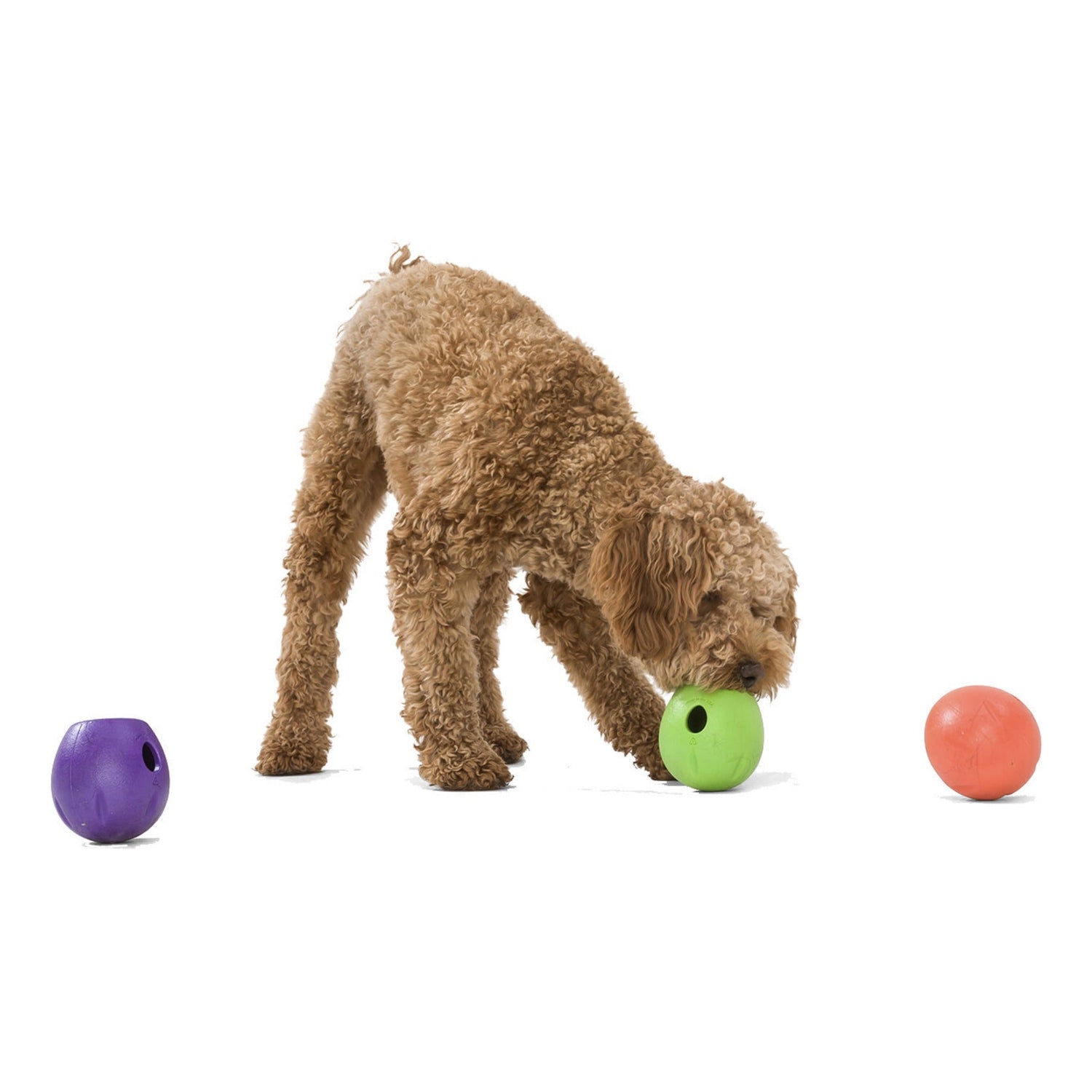 West Paw Zogoflex Echo Rumbl, Hundespielzeug - Woofshack