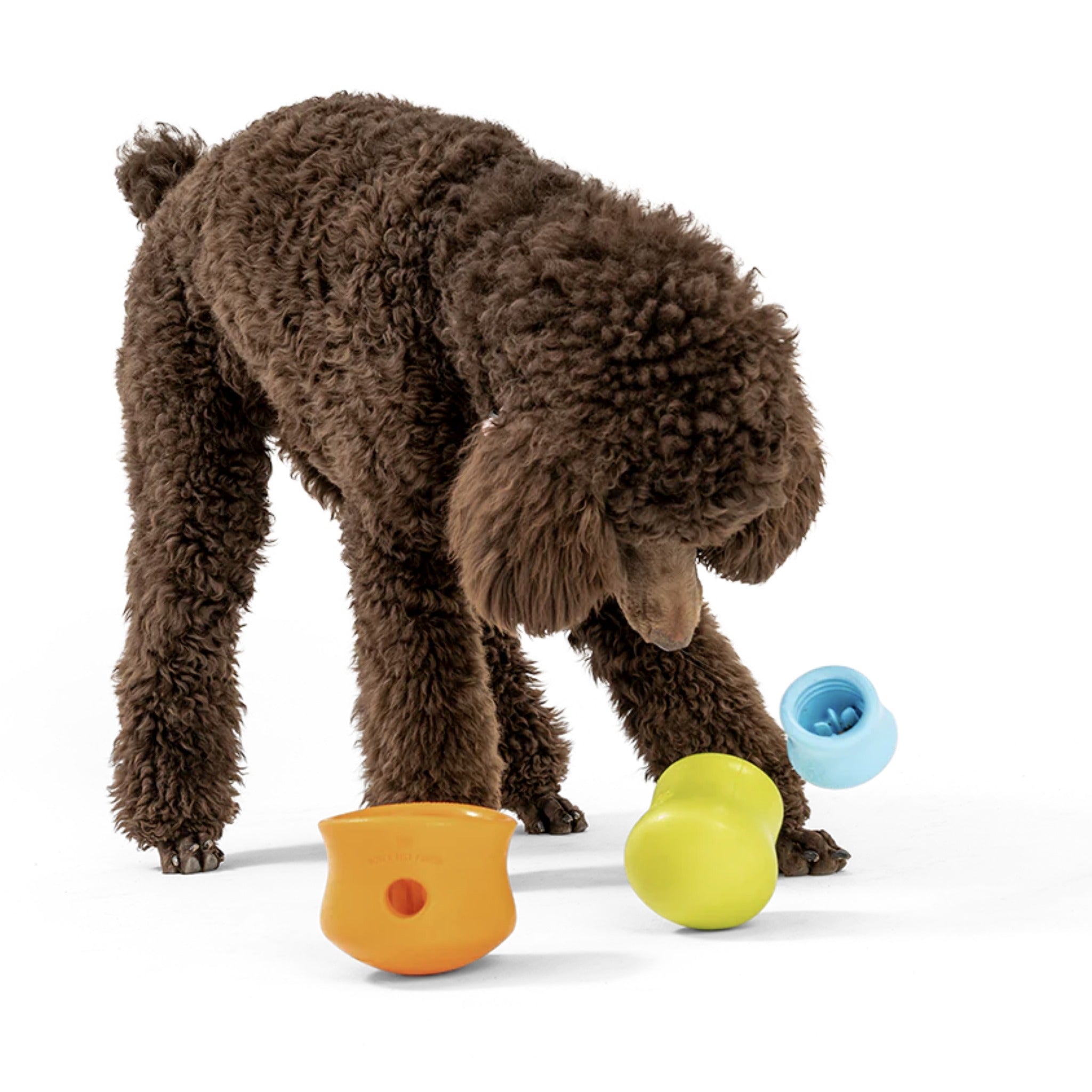 West paw fashion chew toys