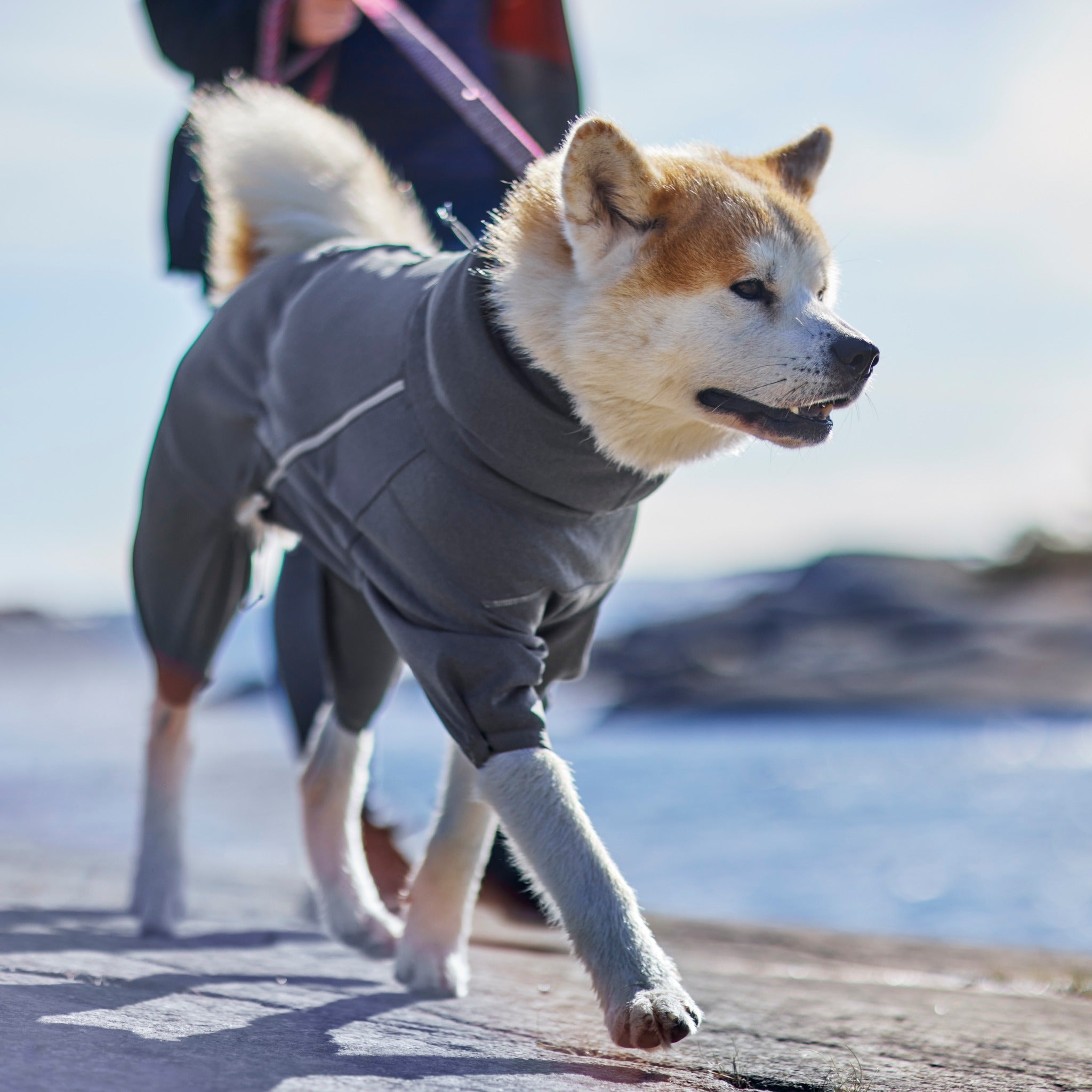 Hurtta Midlayer Overall Dog Coat