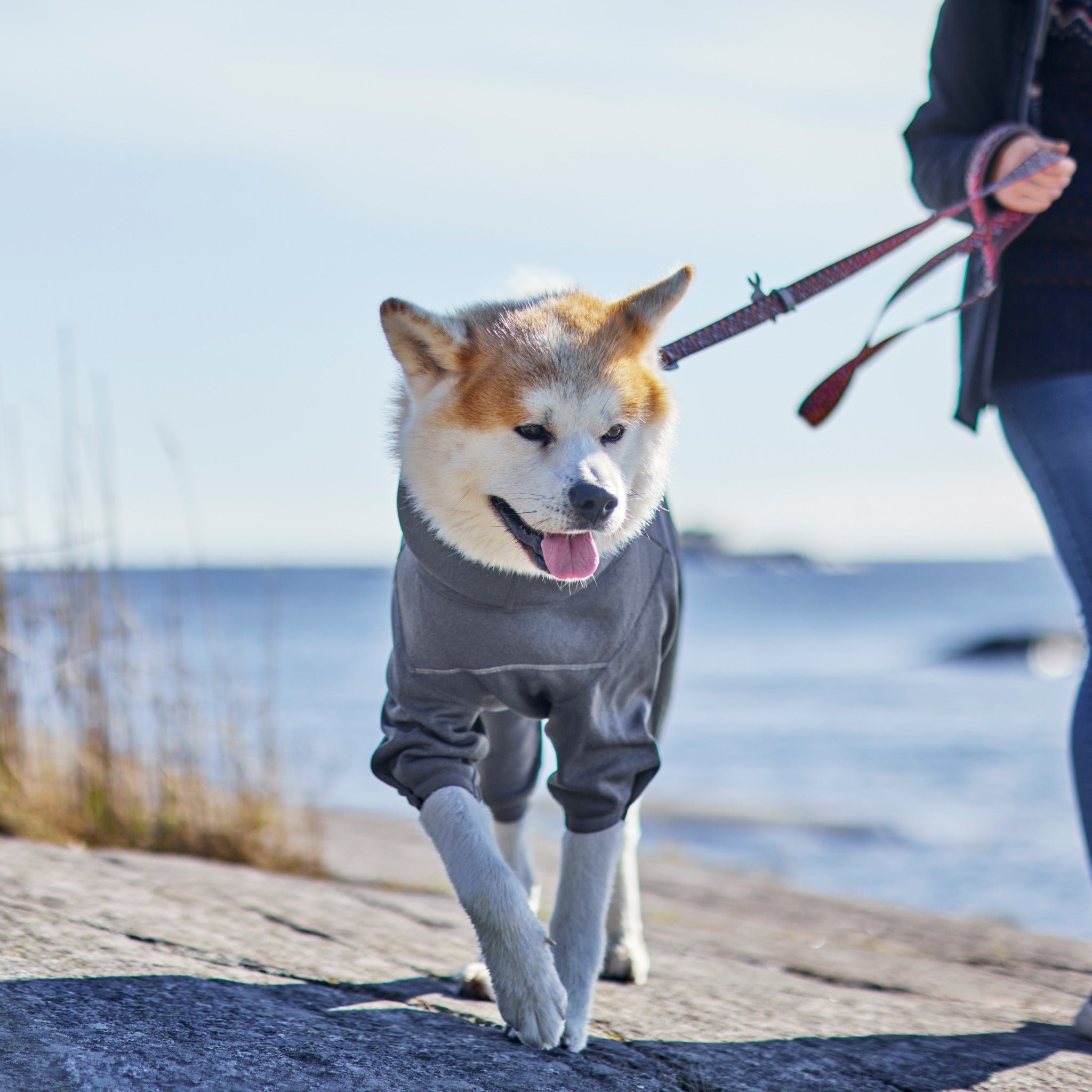 Hurtta Midlayer Overall Dog Coat