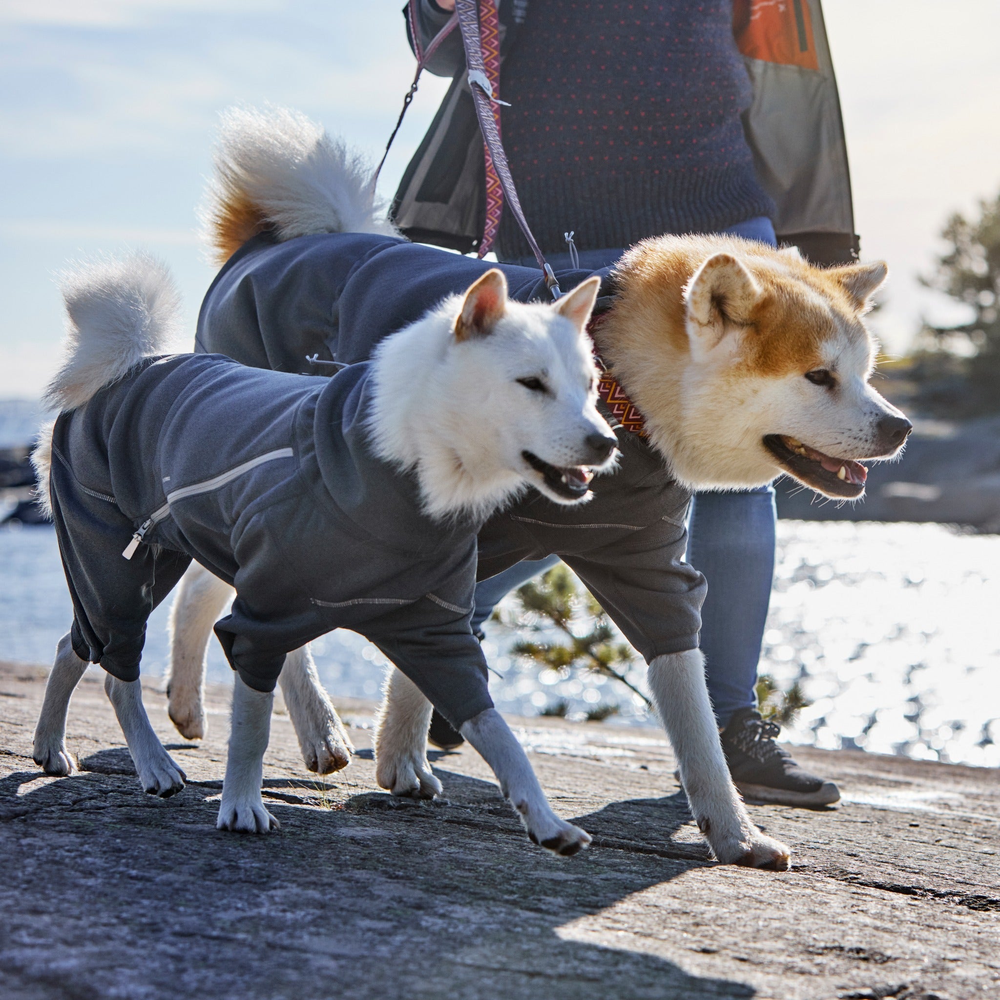 Hurtta shop dog jacket