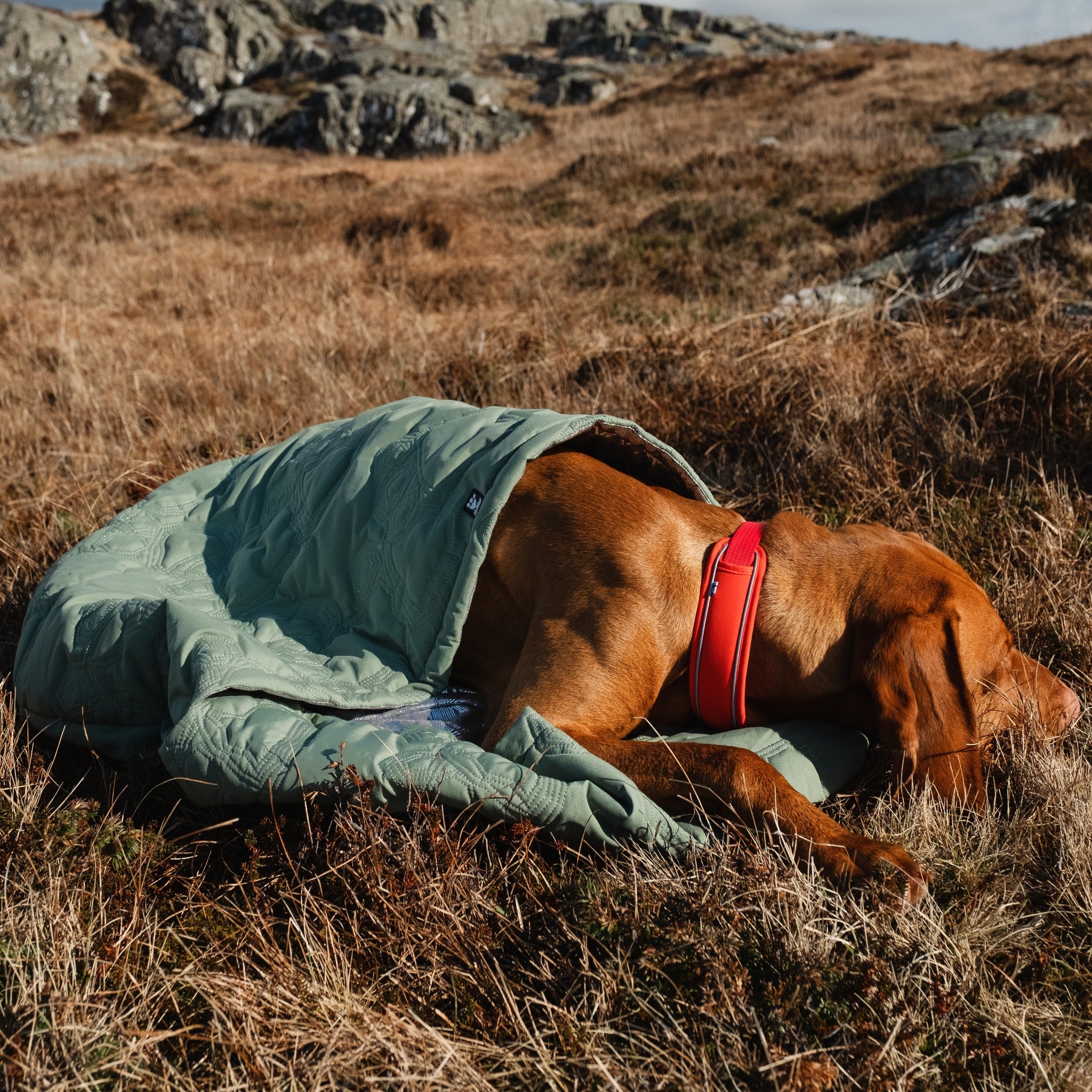 Hurtta Outback Dreamer ECO dog sleeping bag