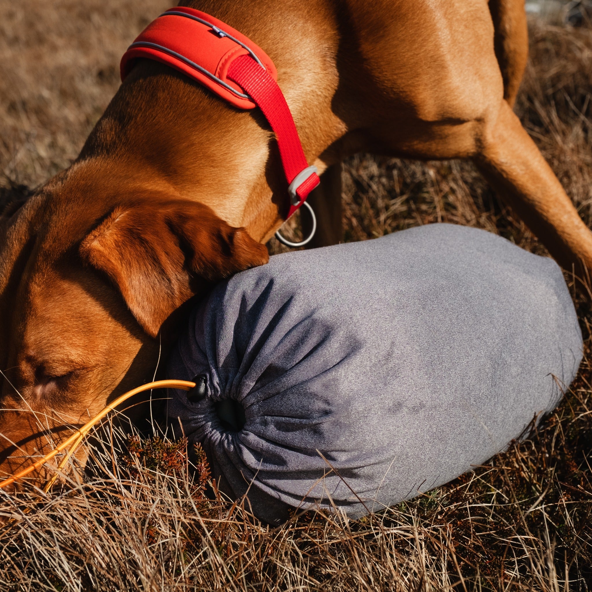 Hurtta Outback Dreamer ECO dog sleeping bag