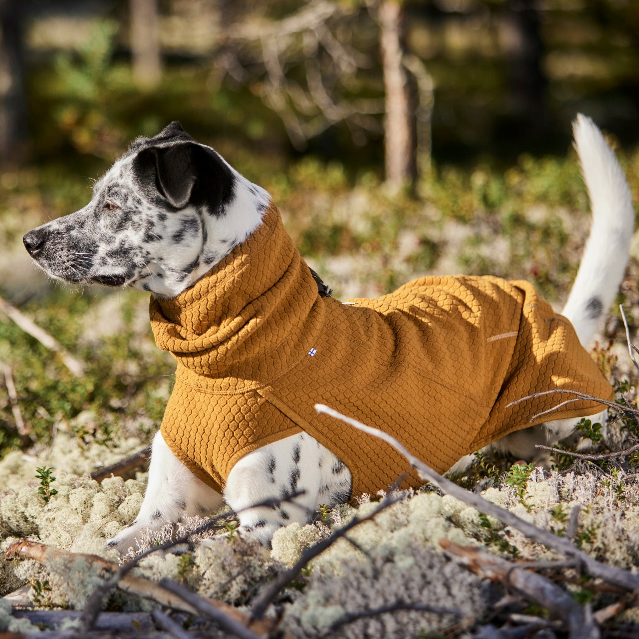 Hurtta top dog jacket