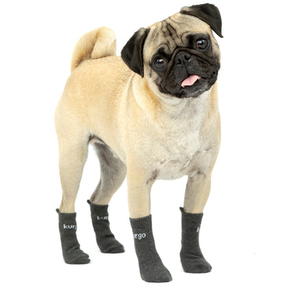 Kurgo Blaze Cross Socks, Hundesocken - Woofshack