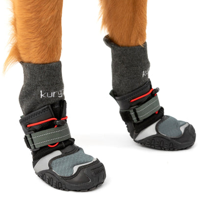 Kurgo Blaze Cross Socks, Hundesocken - Woofshack