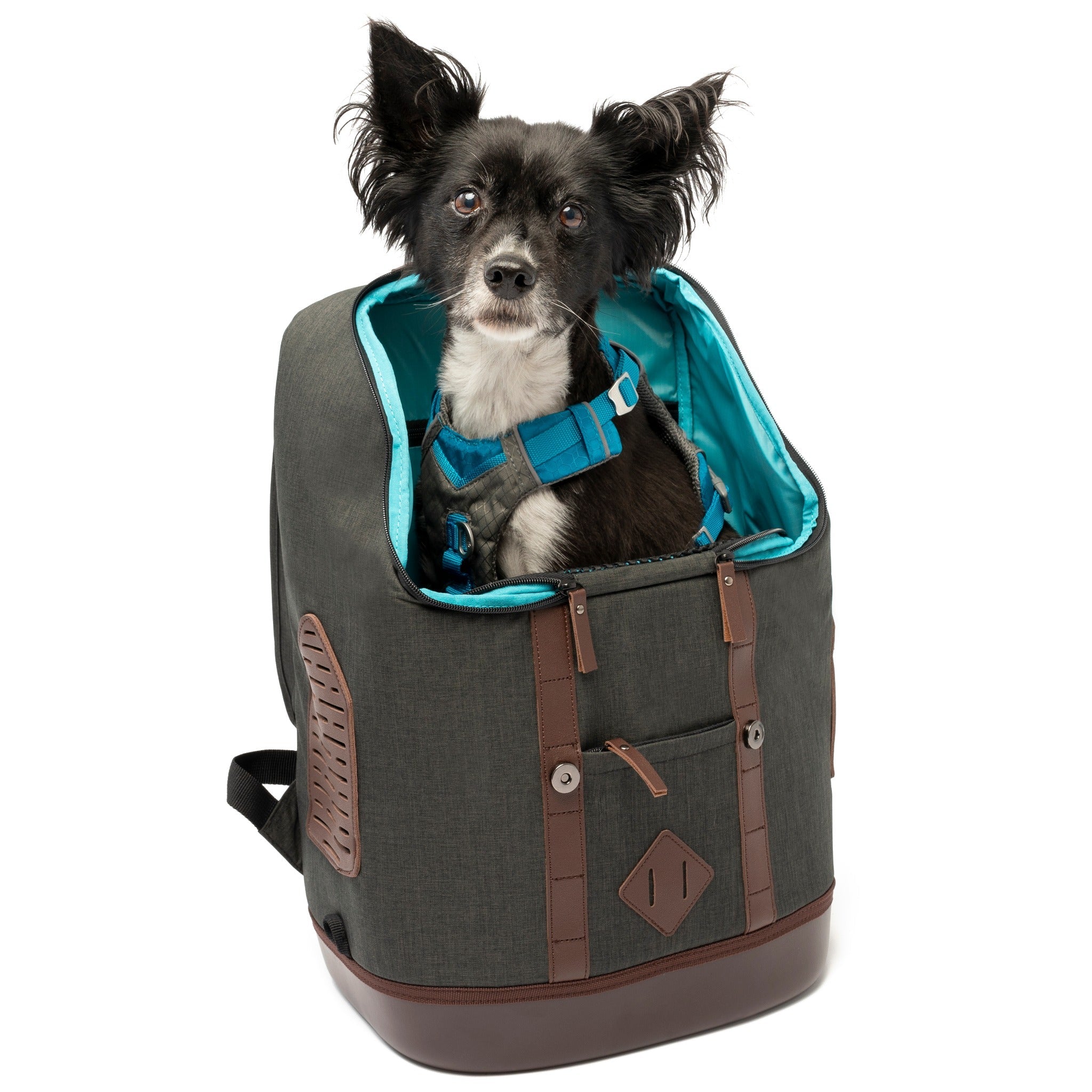 Mochila discount transportin perro