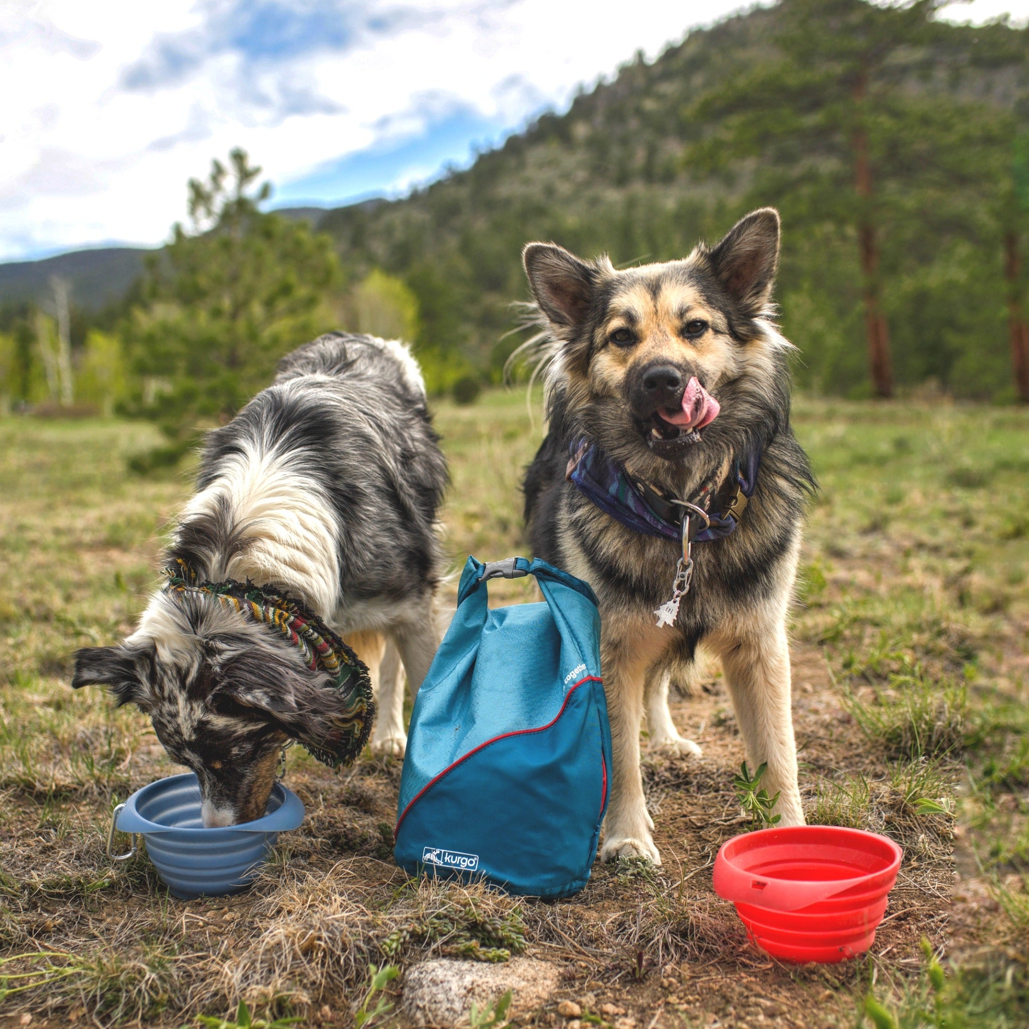 Kurgo Kibble Carrier recipiente de comida para perros