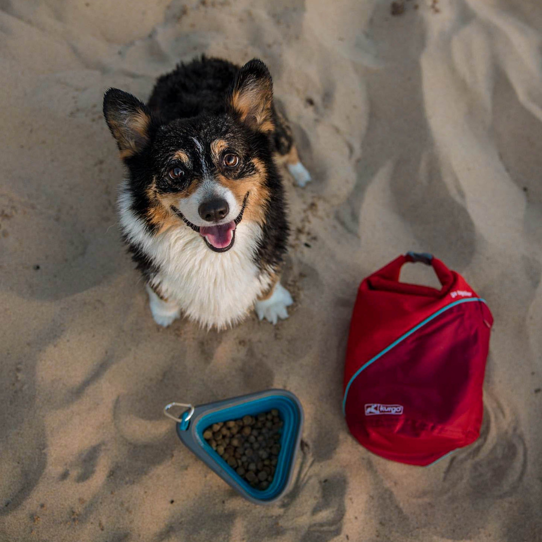 Kurgo Kibble Carrier recipiente de comida para perros