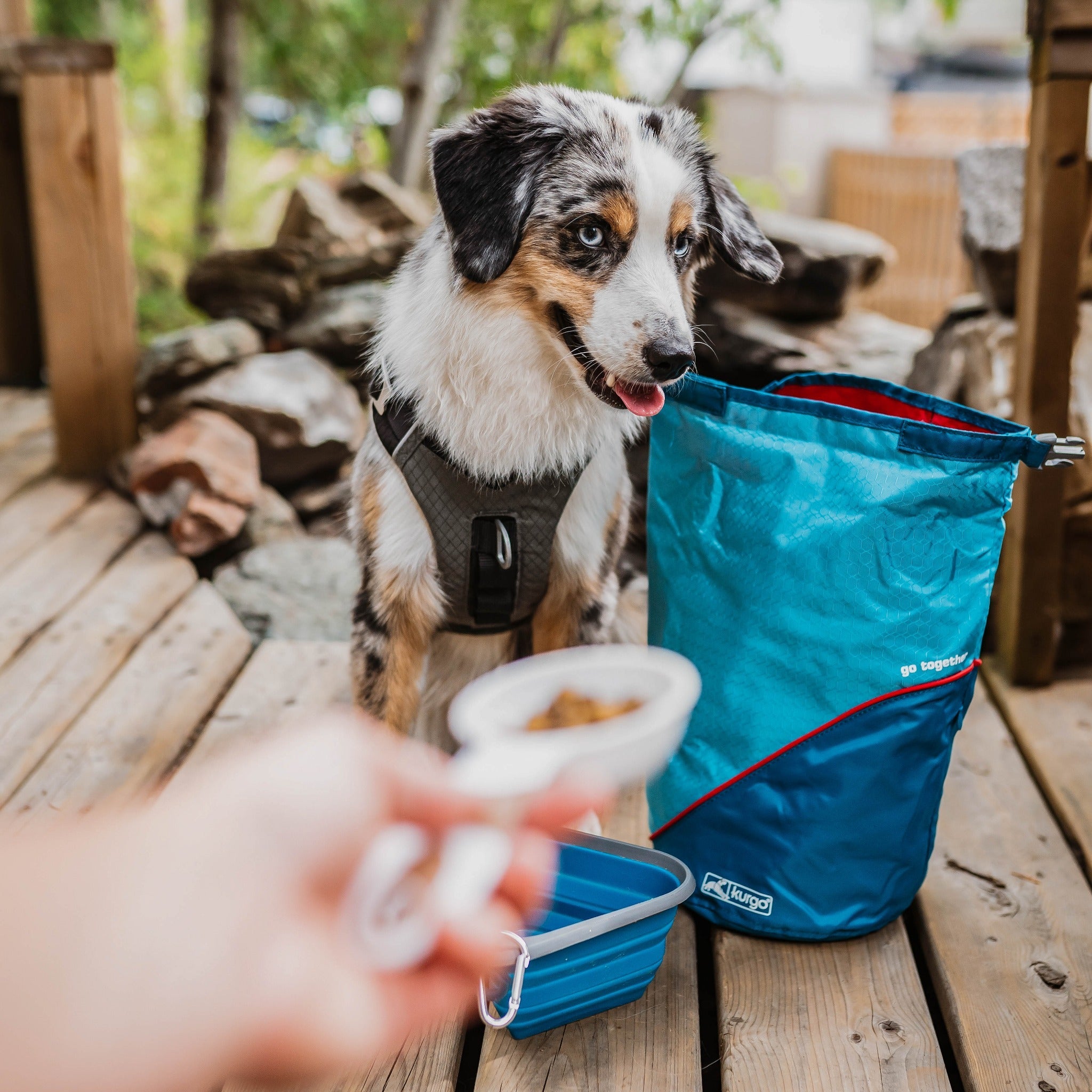 Carrier top dog food