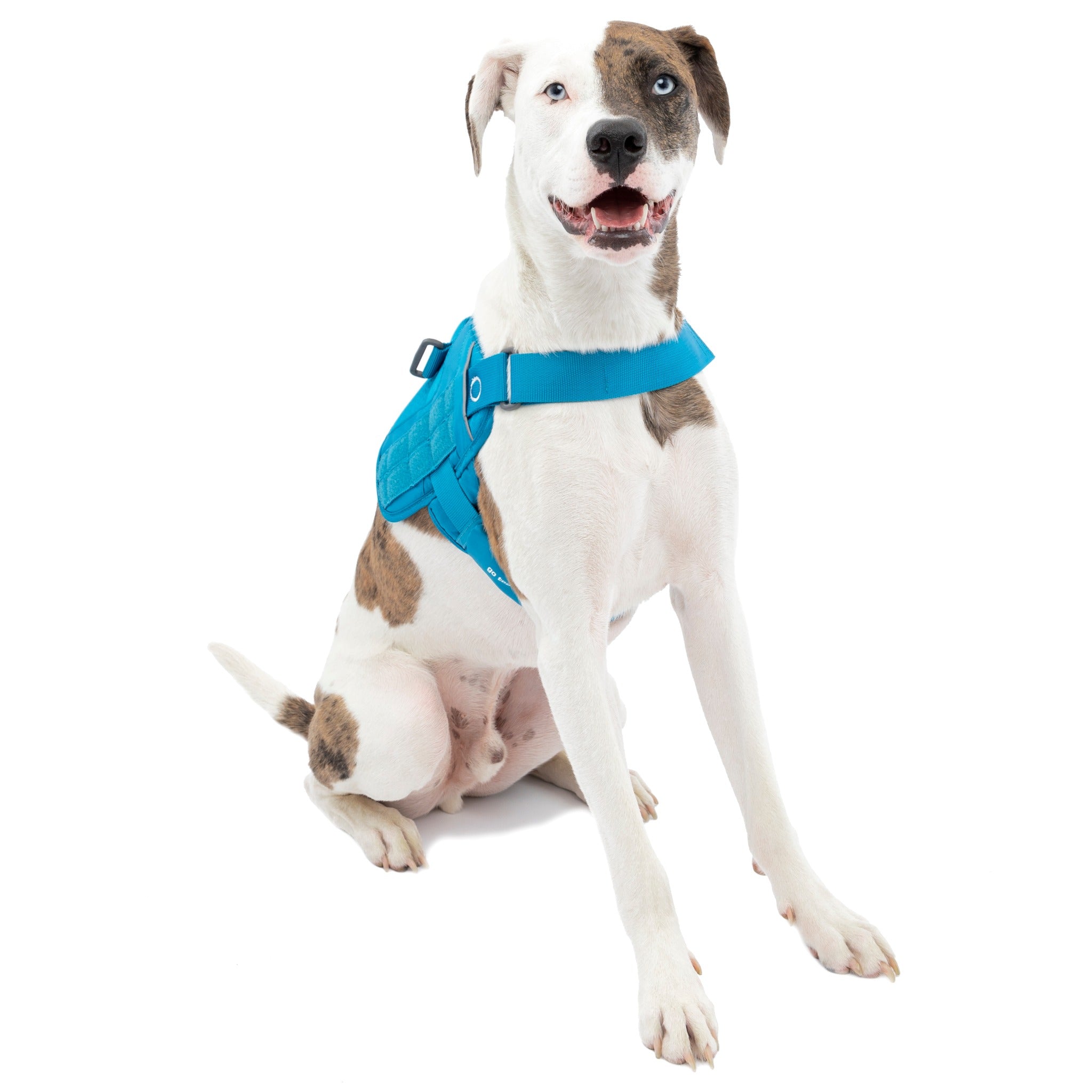 Petco dog clearance lift harness