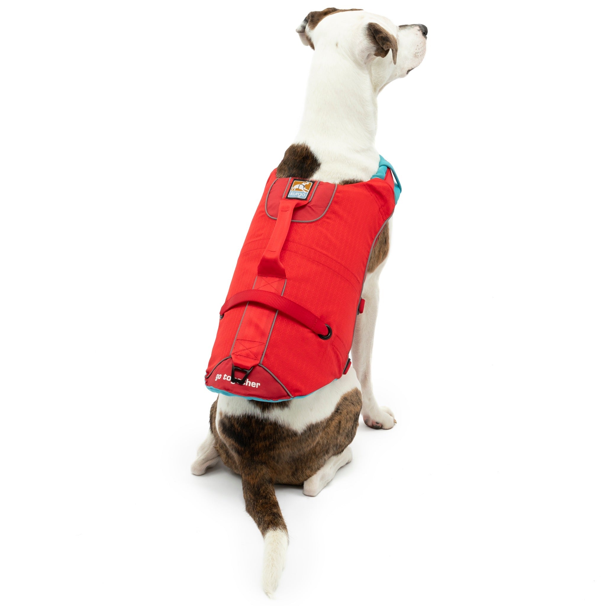 Kurgo Surf N Turf dog life jacket