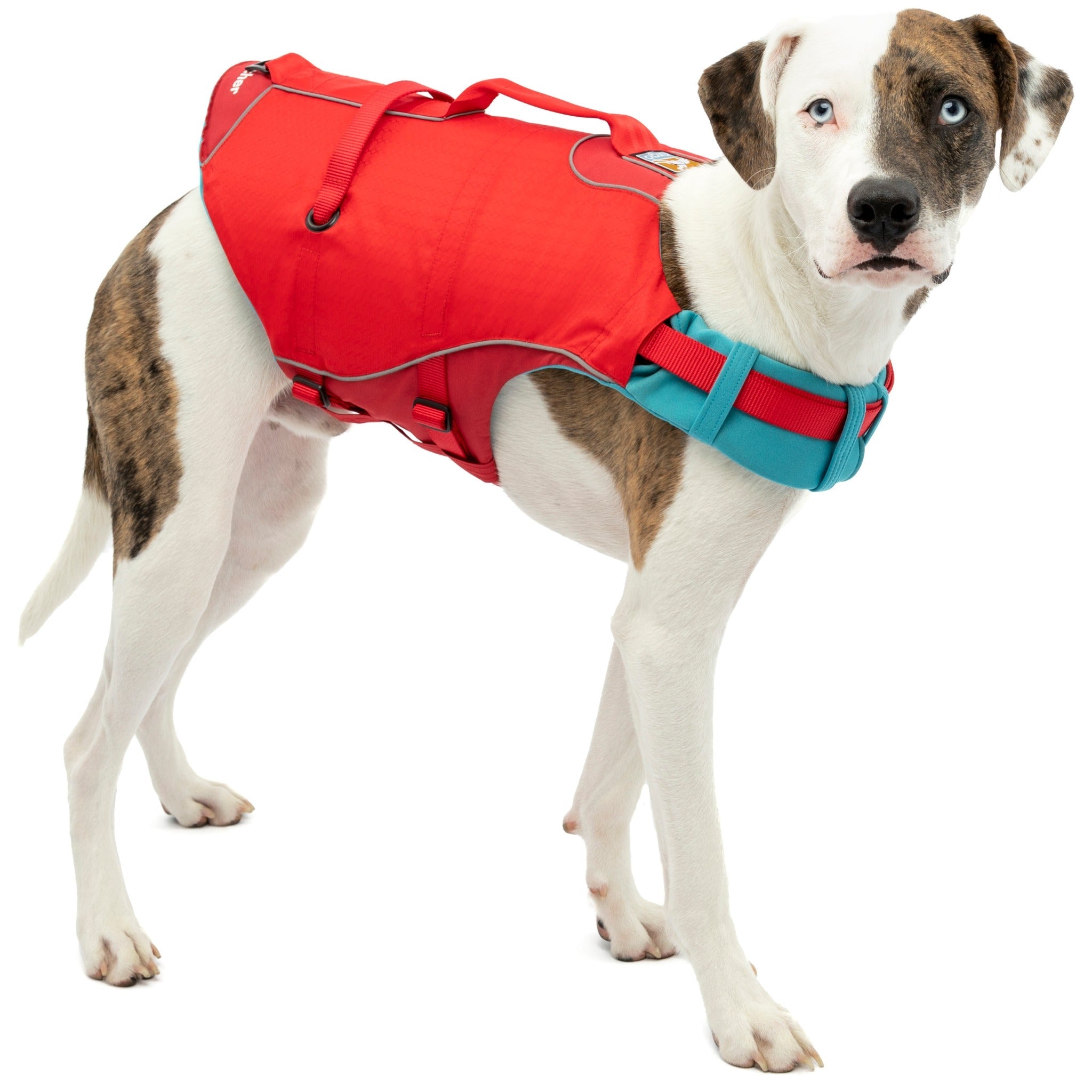 Kurgo Surf N Turf dog life jacket