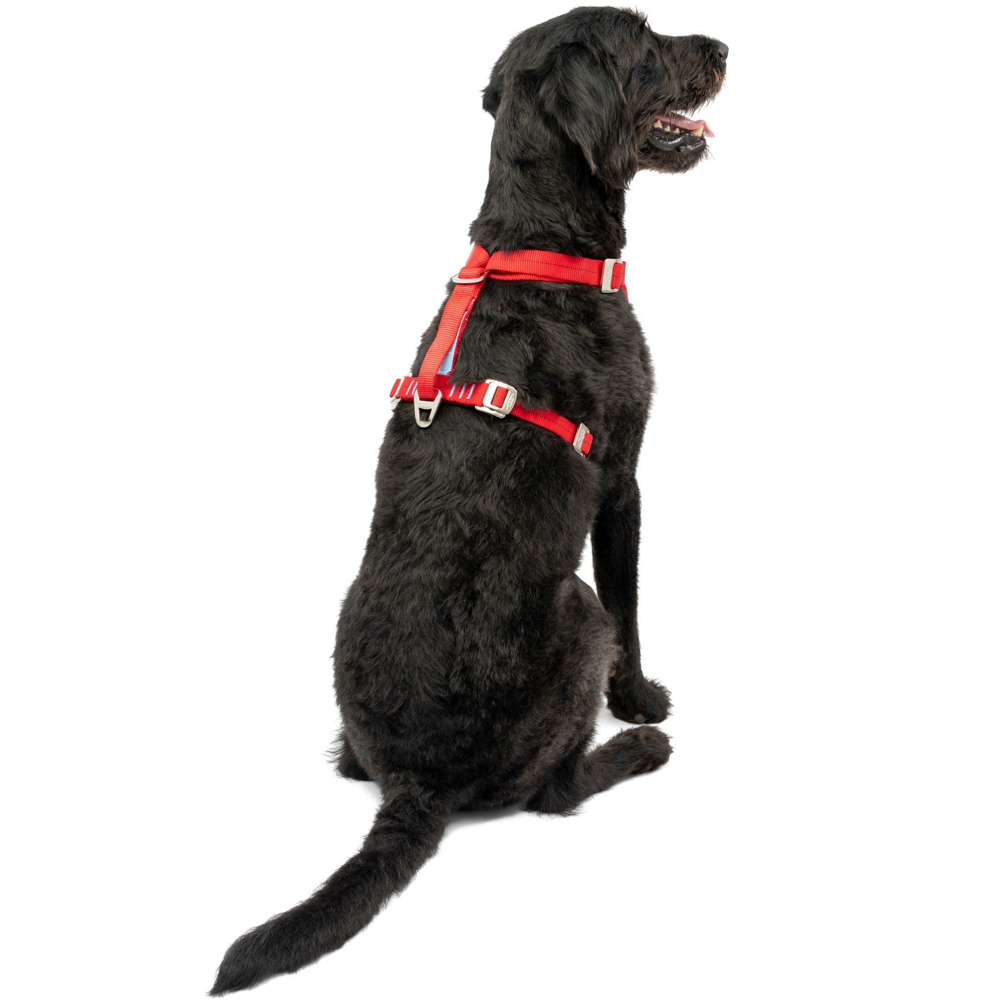 Tru fit dog discount harness