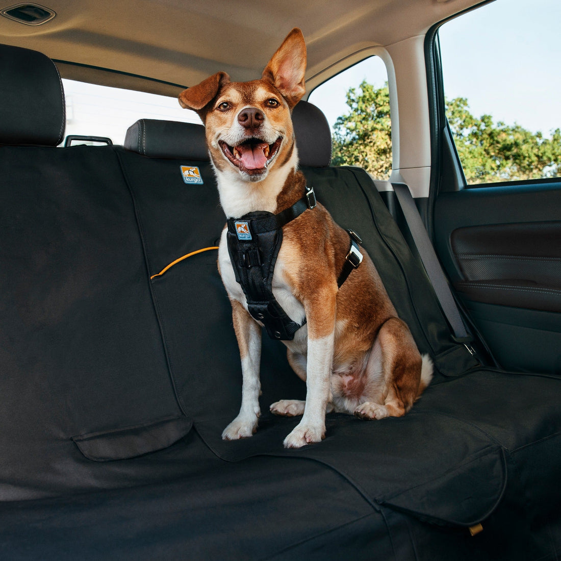 TAOV Autositzabdeckung for Hunde wasserdicht (Color : Coffee Puppy):  : Haustier