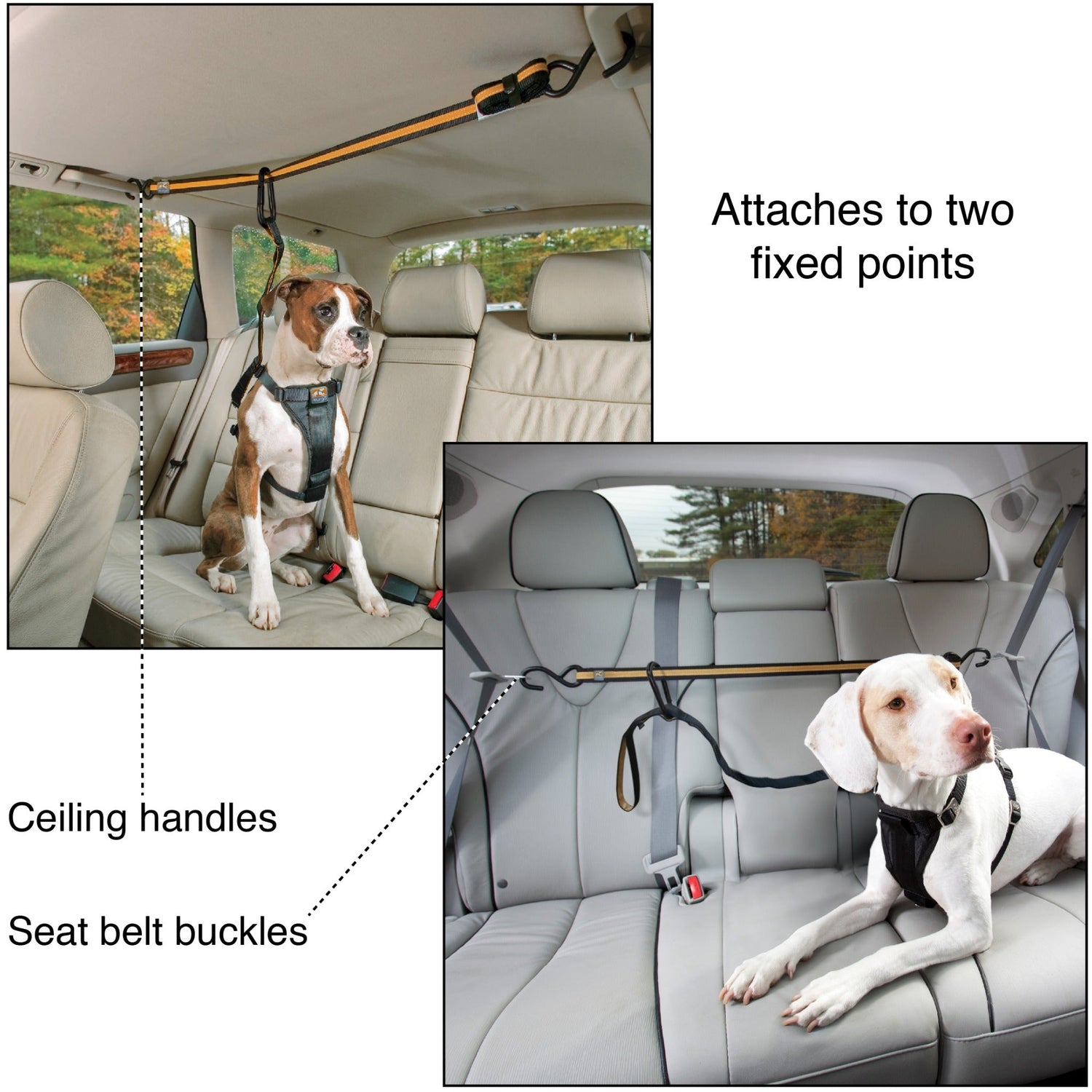 Hunde-Auto-Sicherheitsgurt
