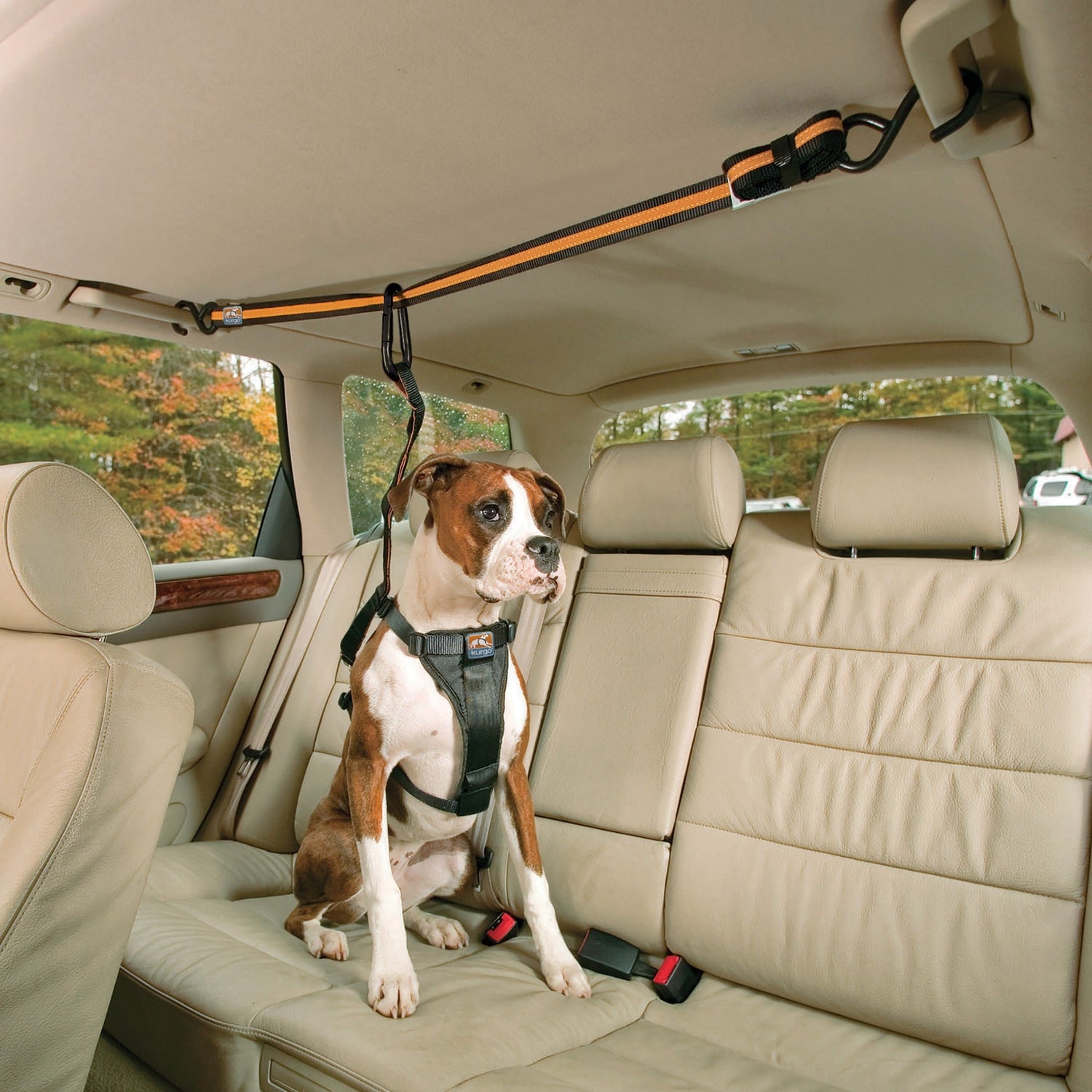 Pettorina di sicurezza per viaggi in auto per cani
