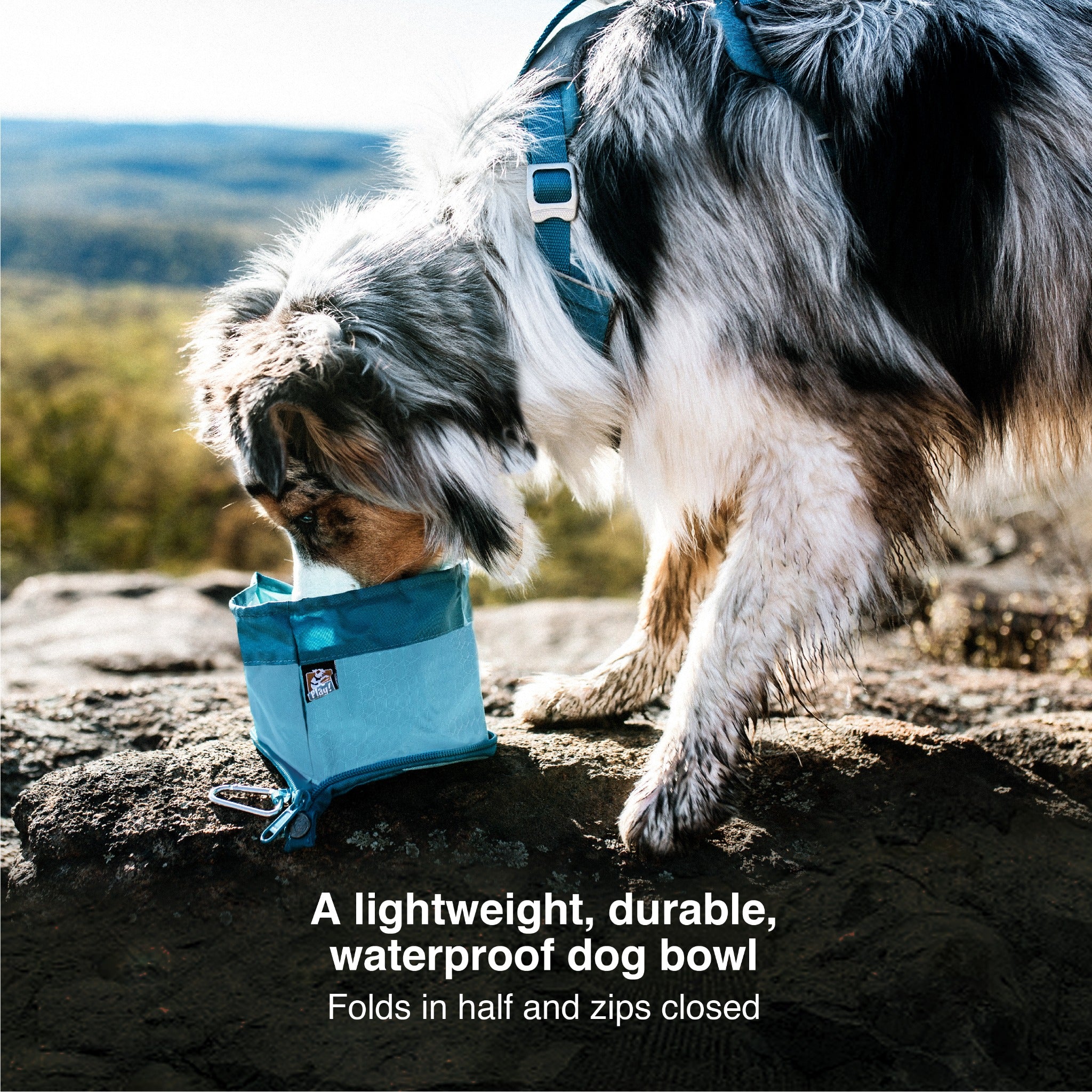 Kurgo Zippy Dog Bowl