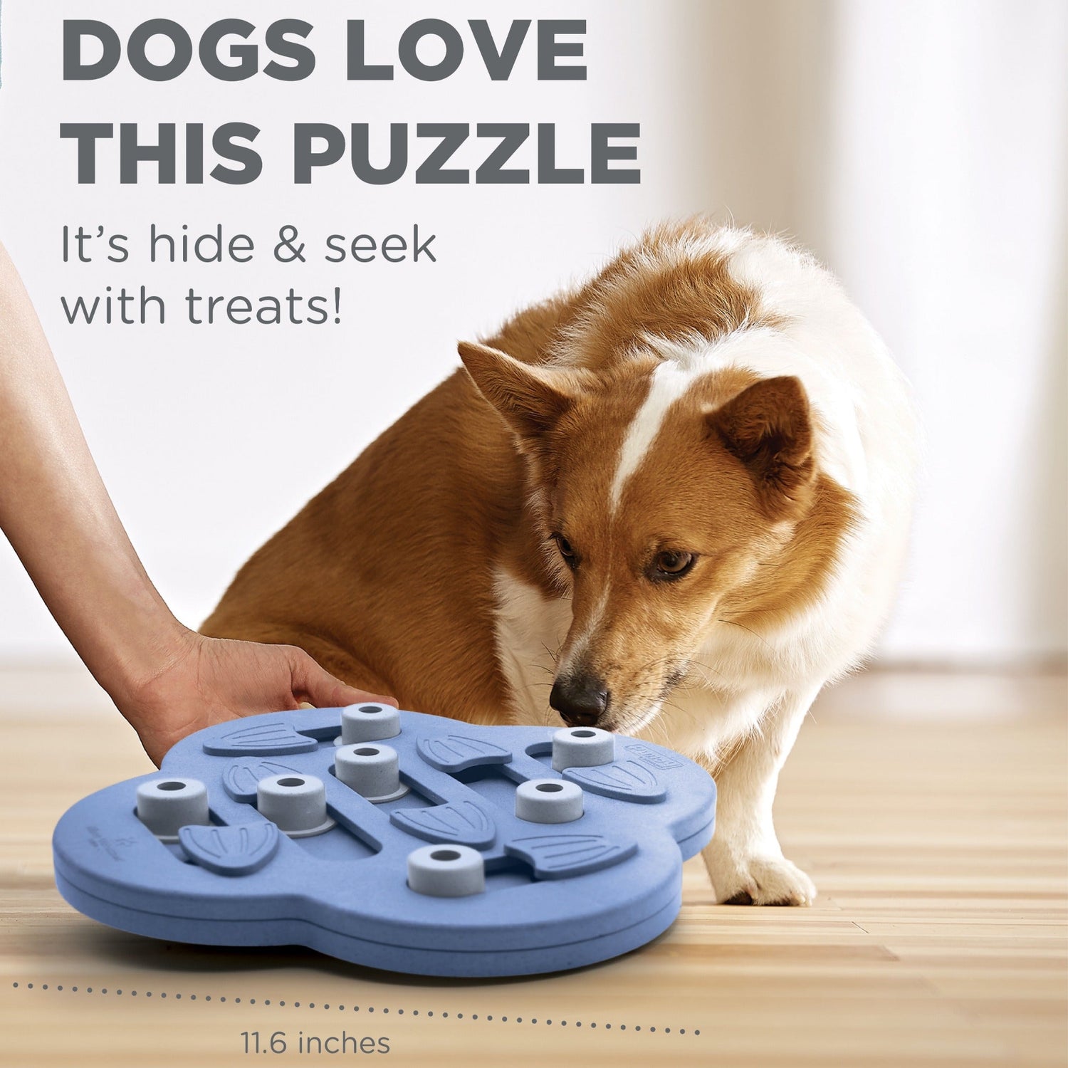 Nina Ottosson Dog Hide N' Slide - Composite, Intelligence Toy