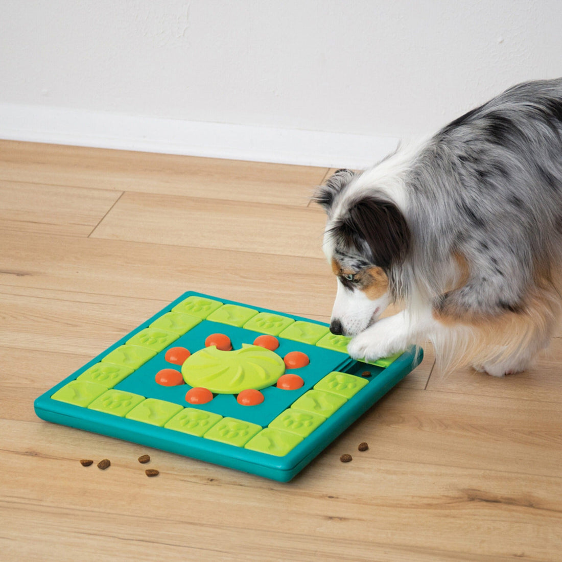OUTWARD HOUND Dog Rumble Puzzle Ball Puzzle & Treat Maze Interactive Dog  Toy, Orange 