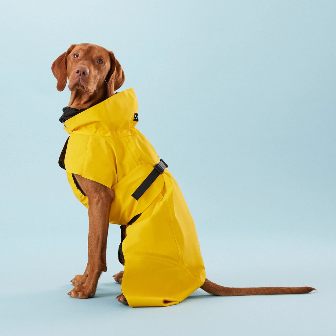 Paikka Visibility Raincoat Lite, Hundemantel - Woofshack