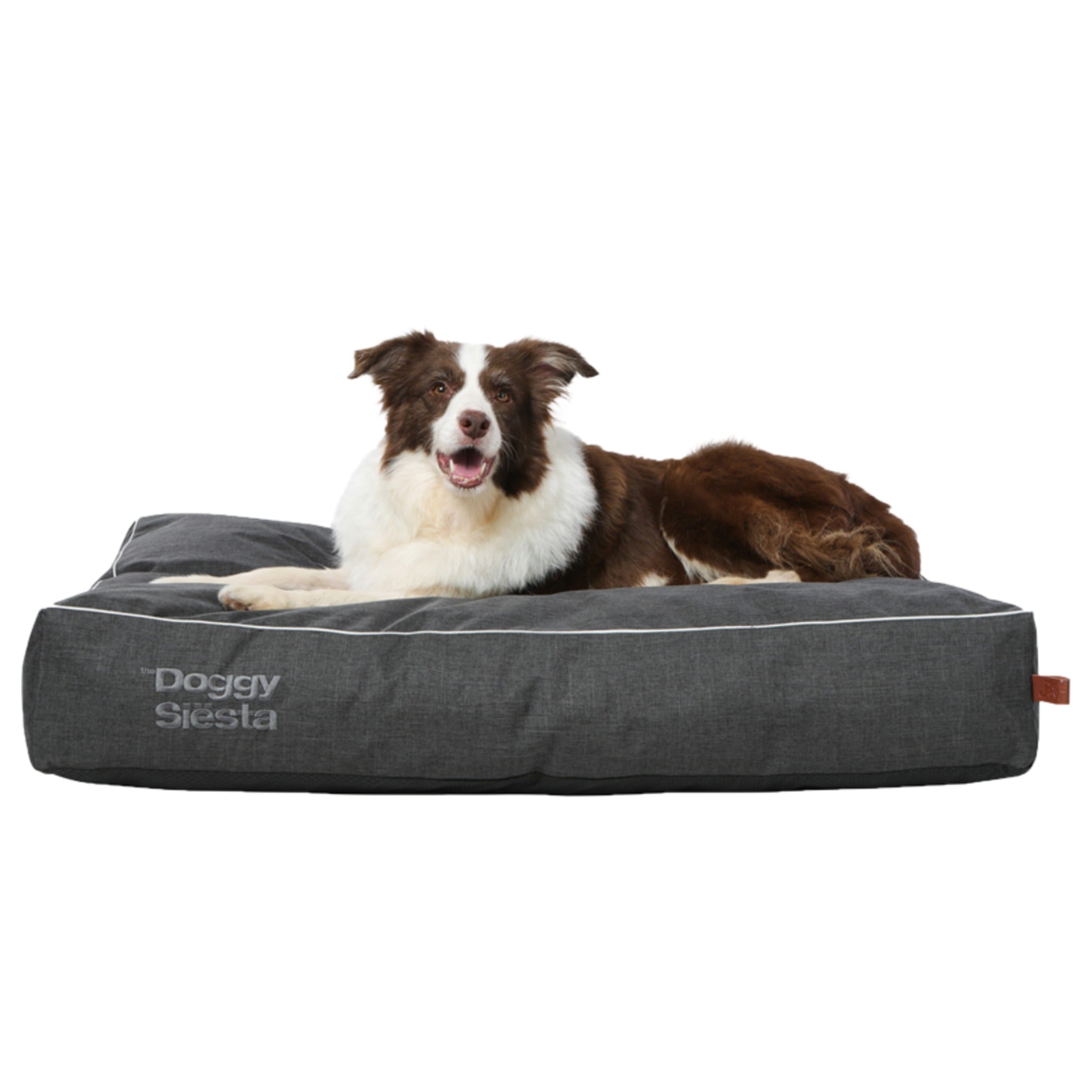 Hard wearing dog outlet bed