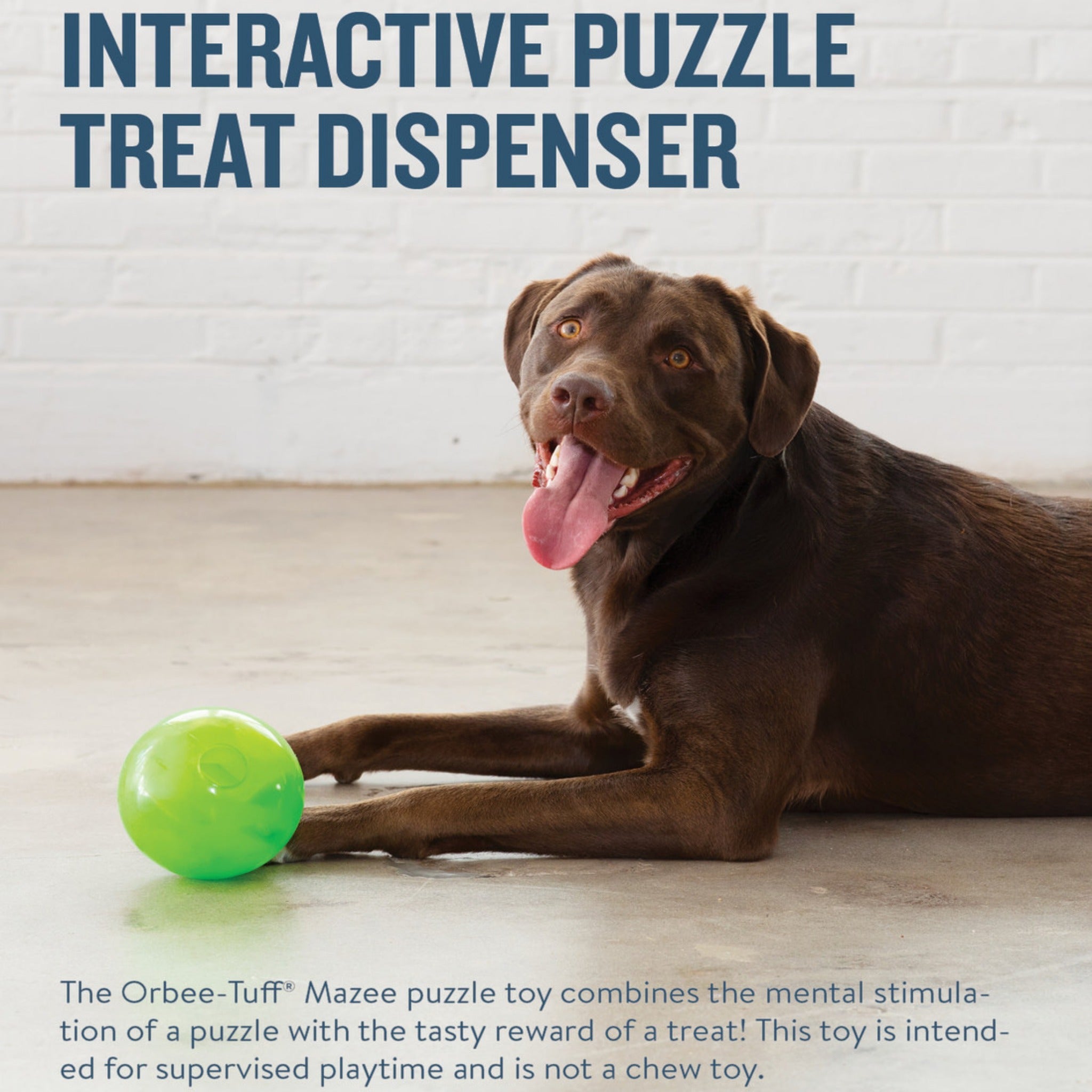 Pet Supplies : Pet Toys : Planet Dog Orbee-Tuff Snoop Interactive Treat  Dispensing Dog Toy, Large, Blue 