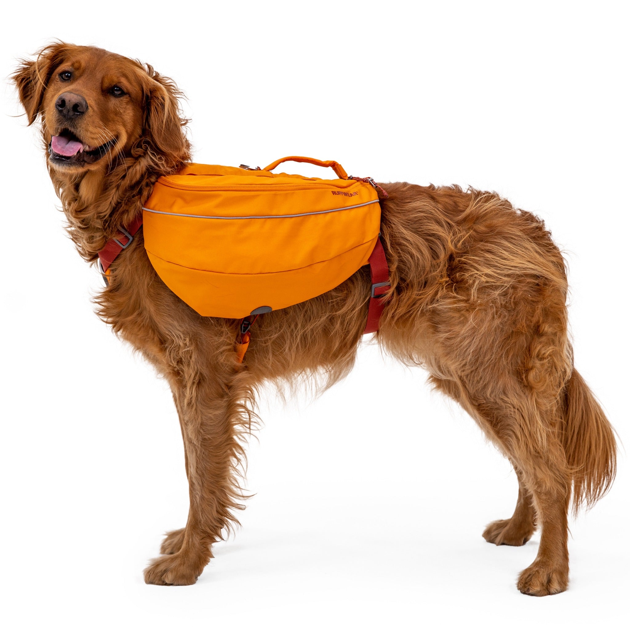 Ruffwear Approach Pack dog backpack