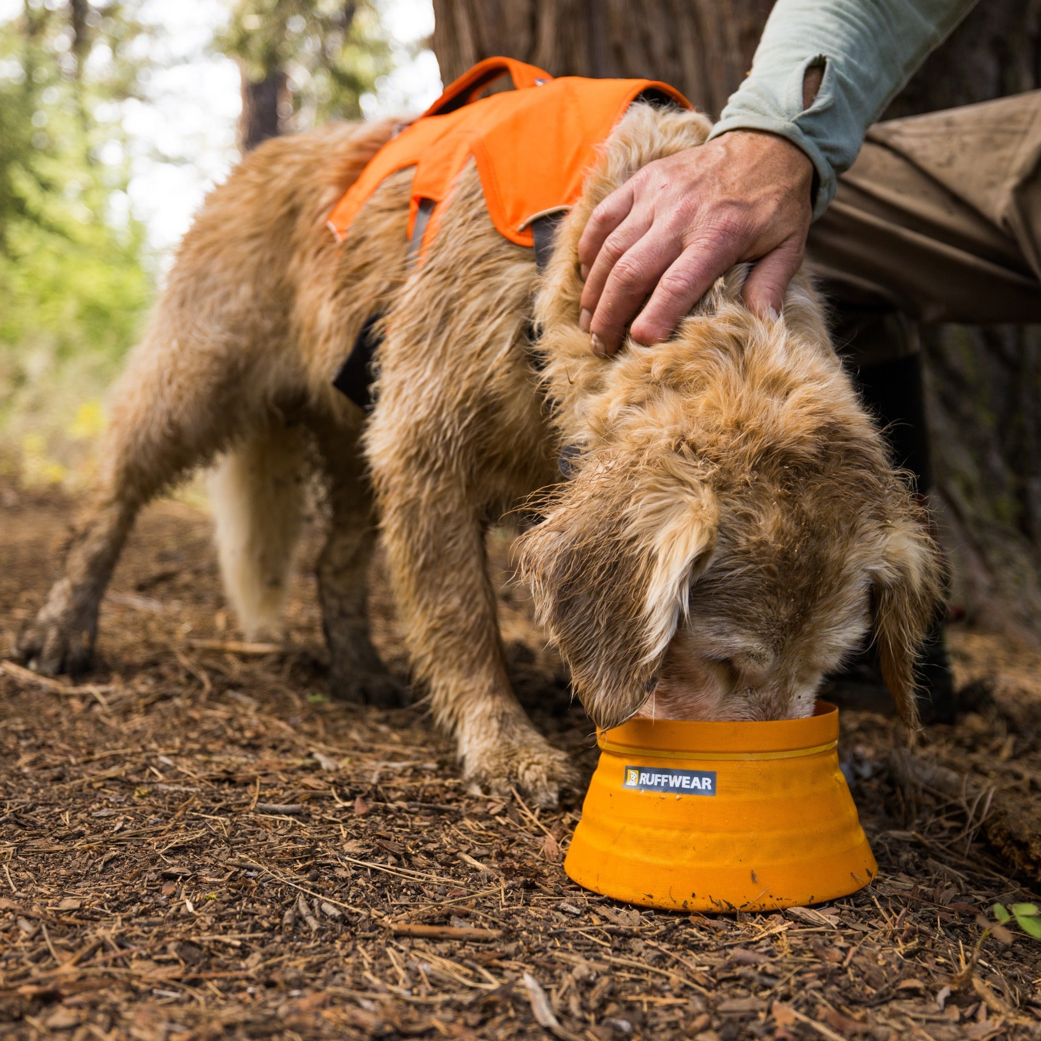 Ruffwear bowl best sale