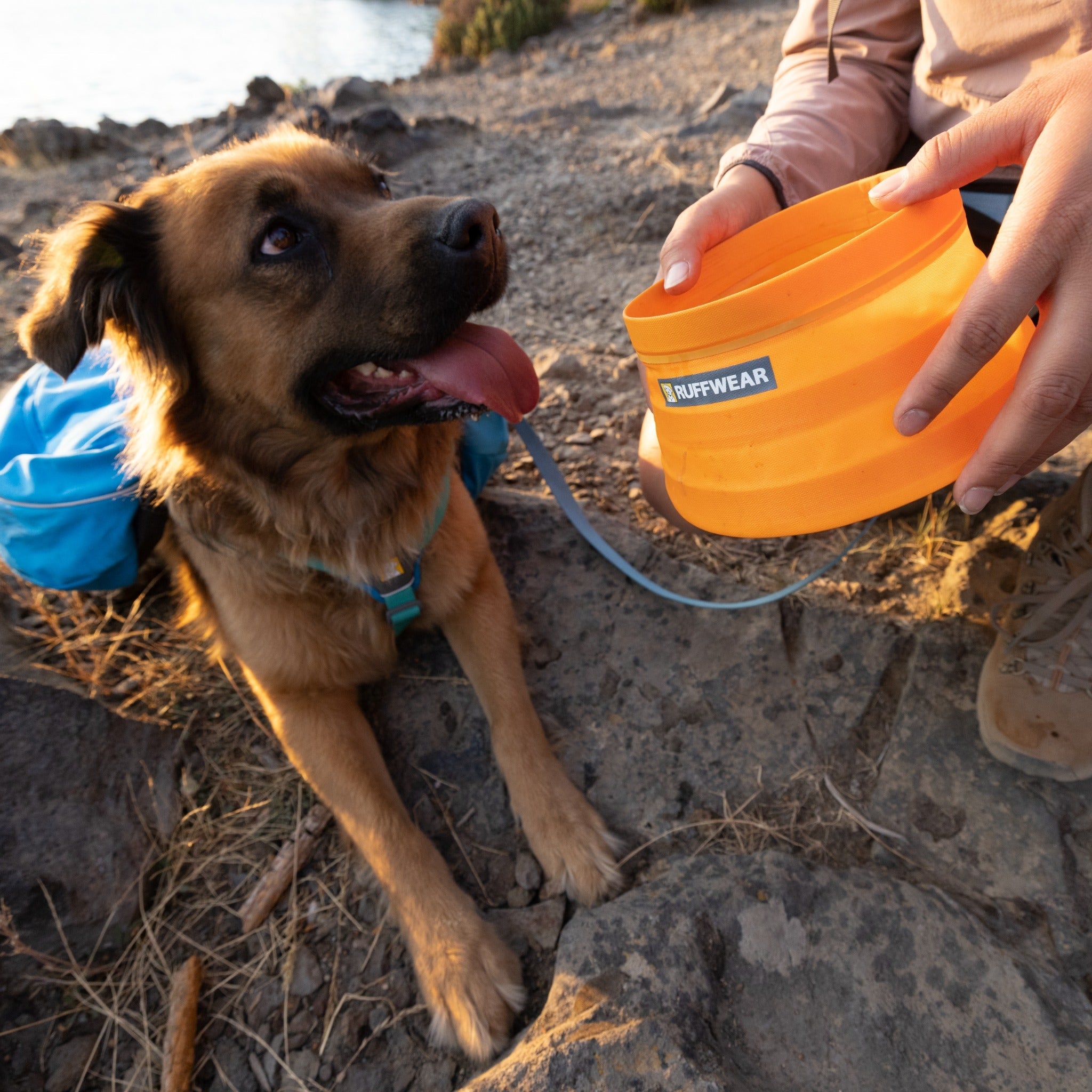 Ruffwear Bivy Dog Bowl