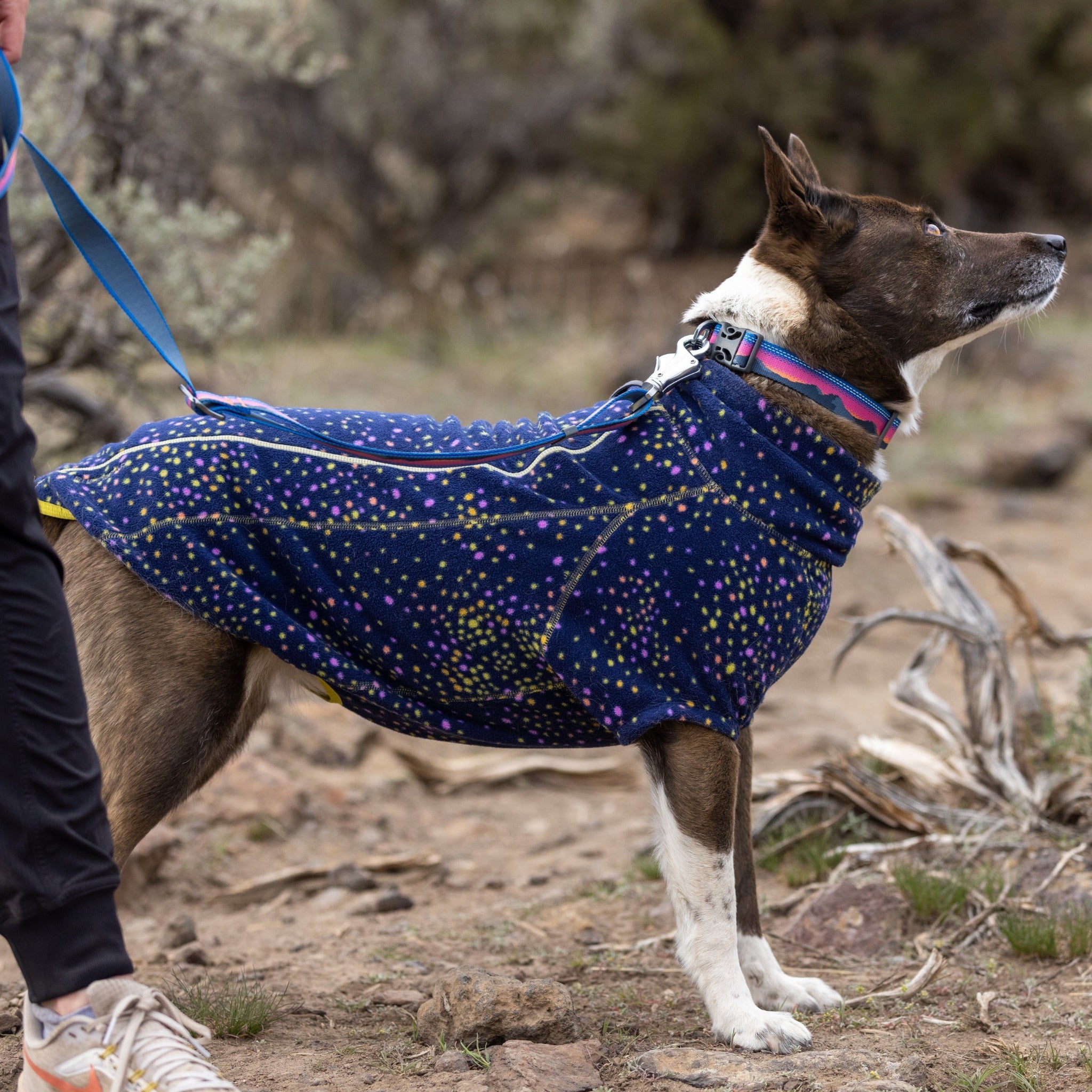 Ruffwear climate changer 2025 fleece jacket