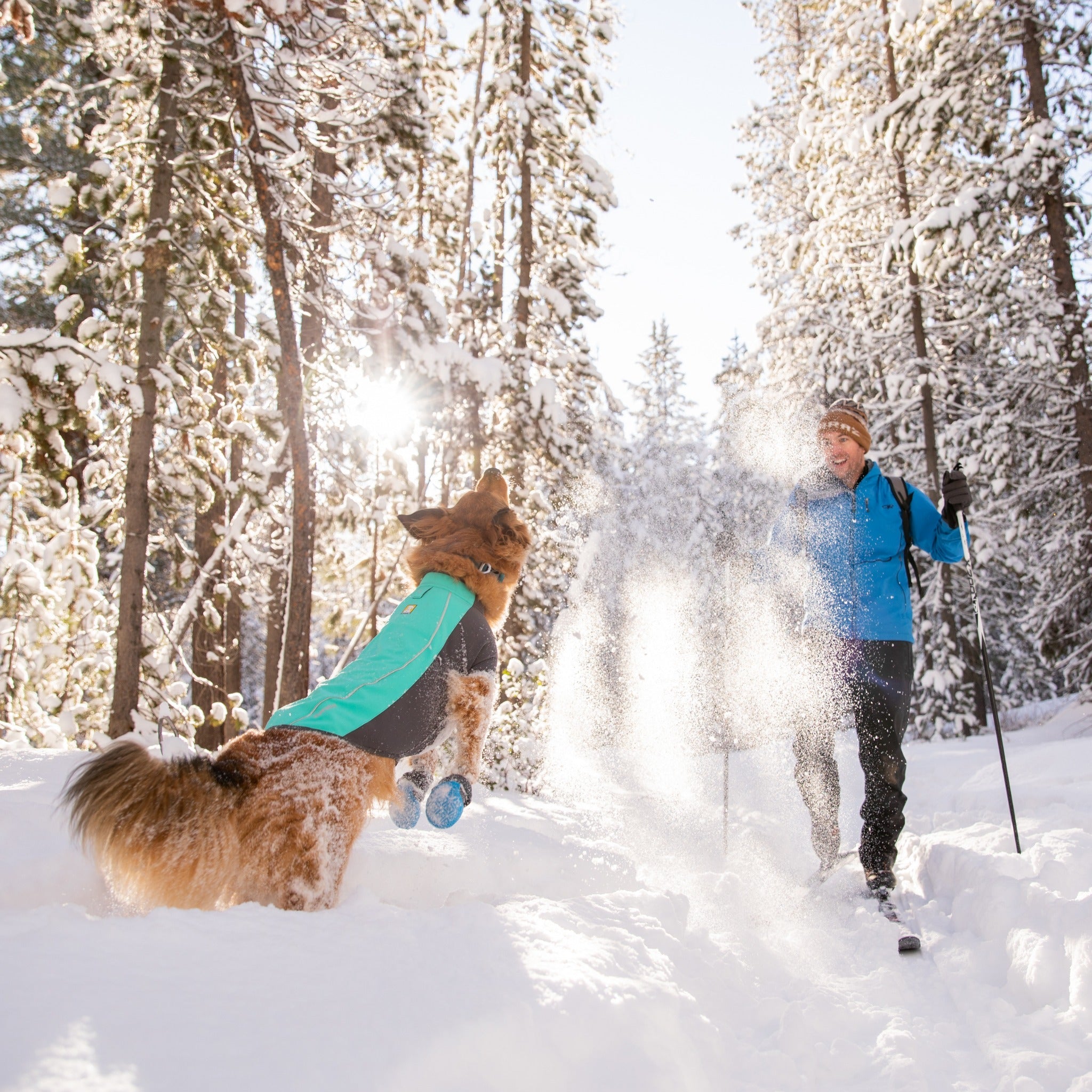 Cloud chaser dog clearance jacket