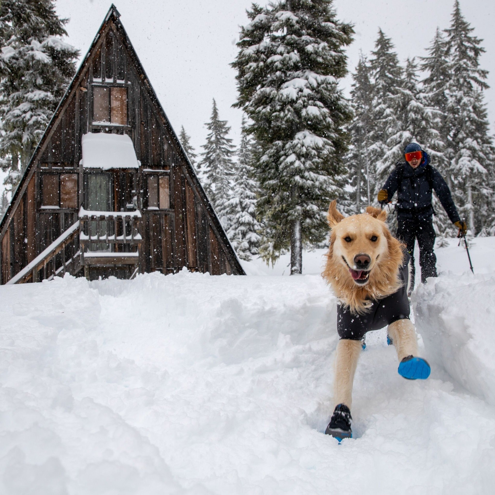 Ruffwear Cloud Chaser dog jacket