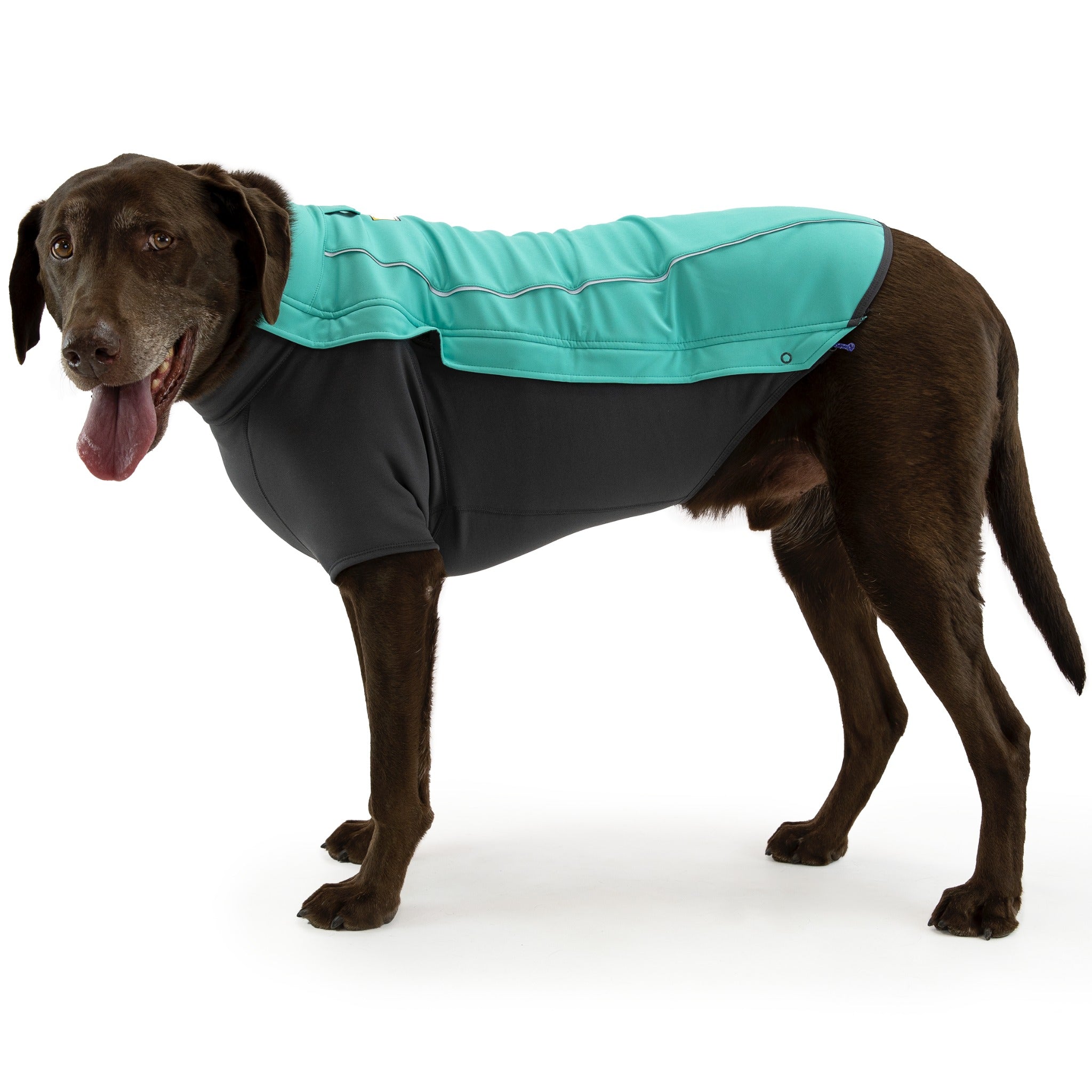 Ruffwear Cloud Chaser dog jacket