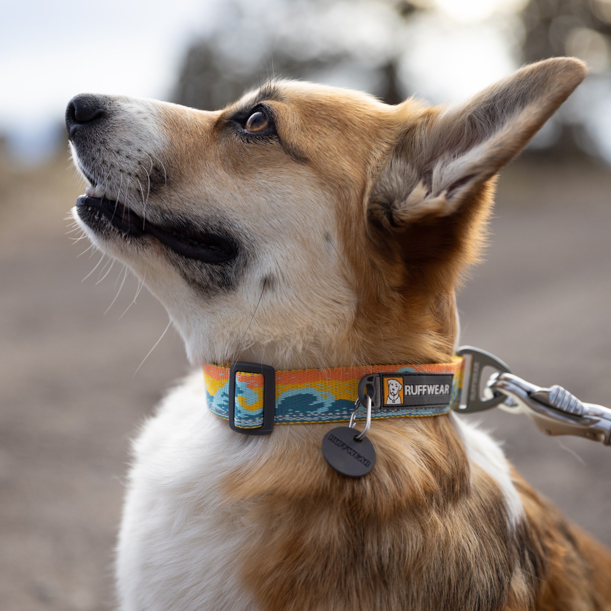 Ruffwear Crag Dog Collar