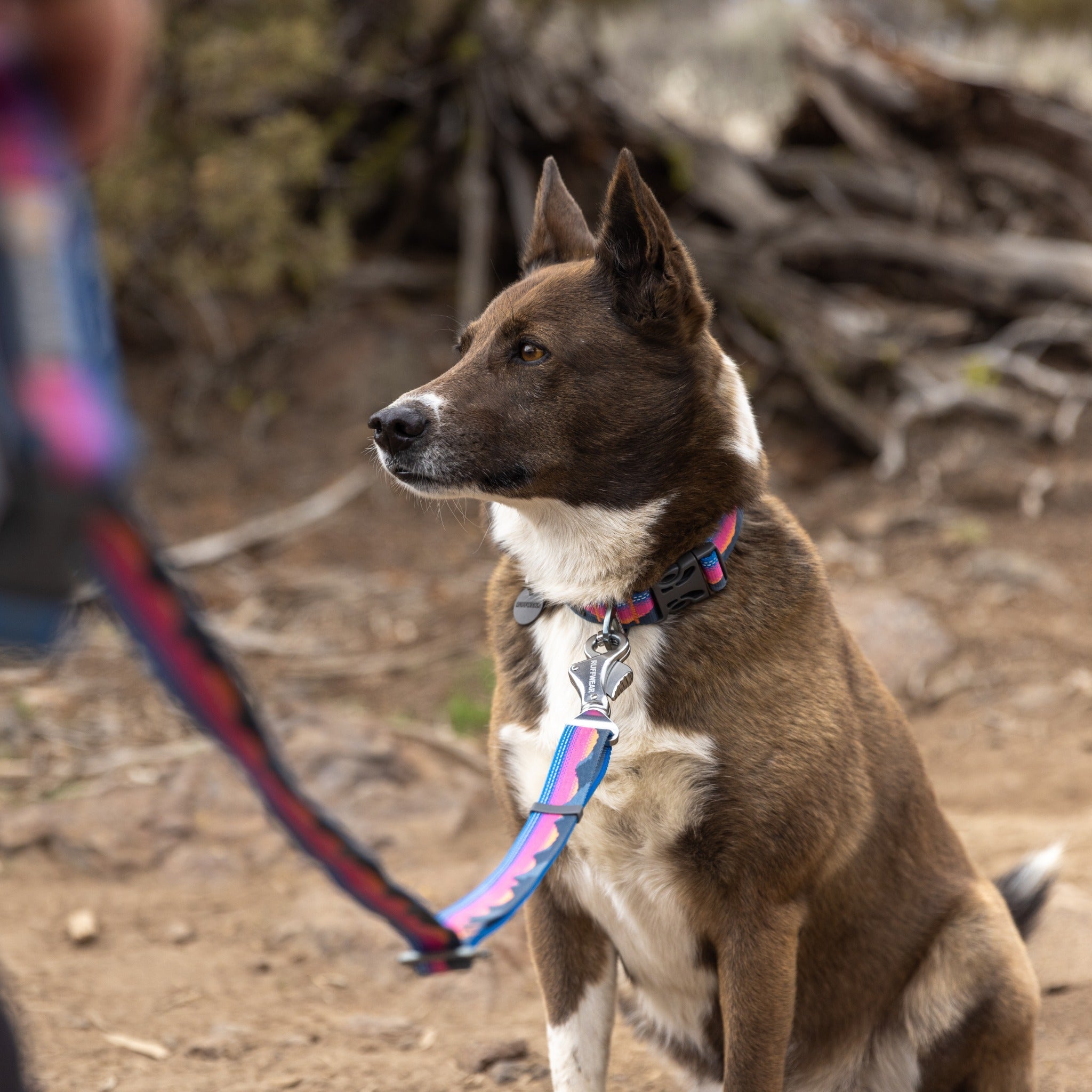 Ruffwear Crag Dog Collar