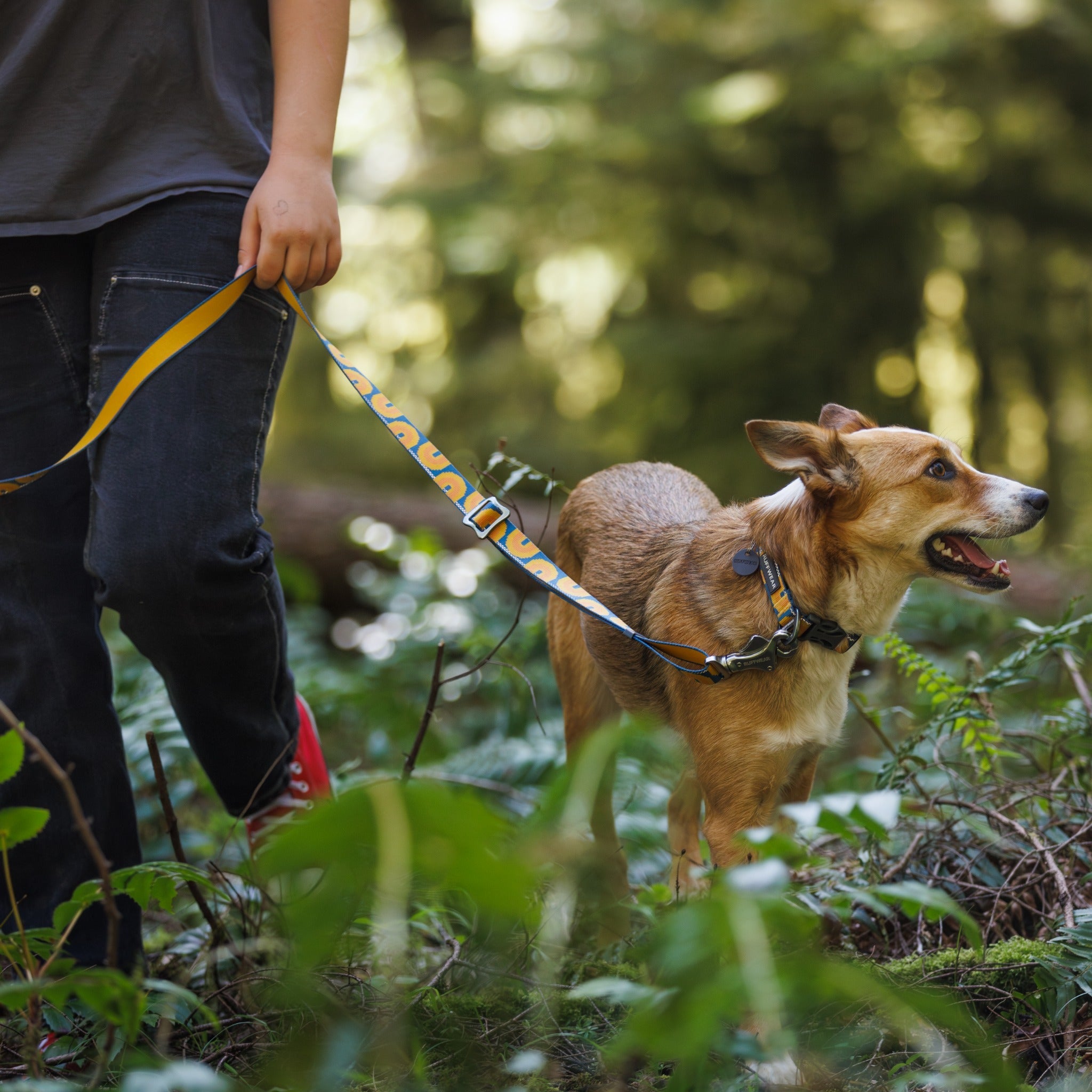 Ruffwear Crag Dog Collar