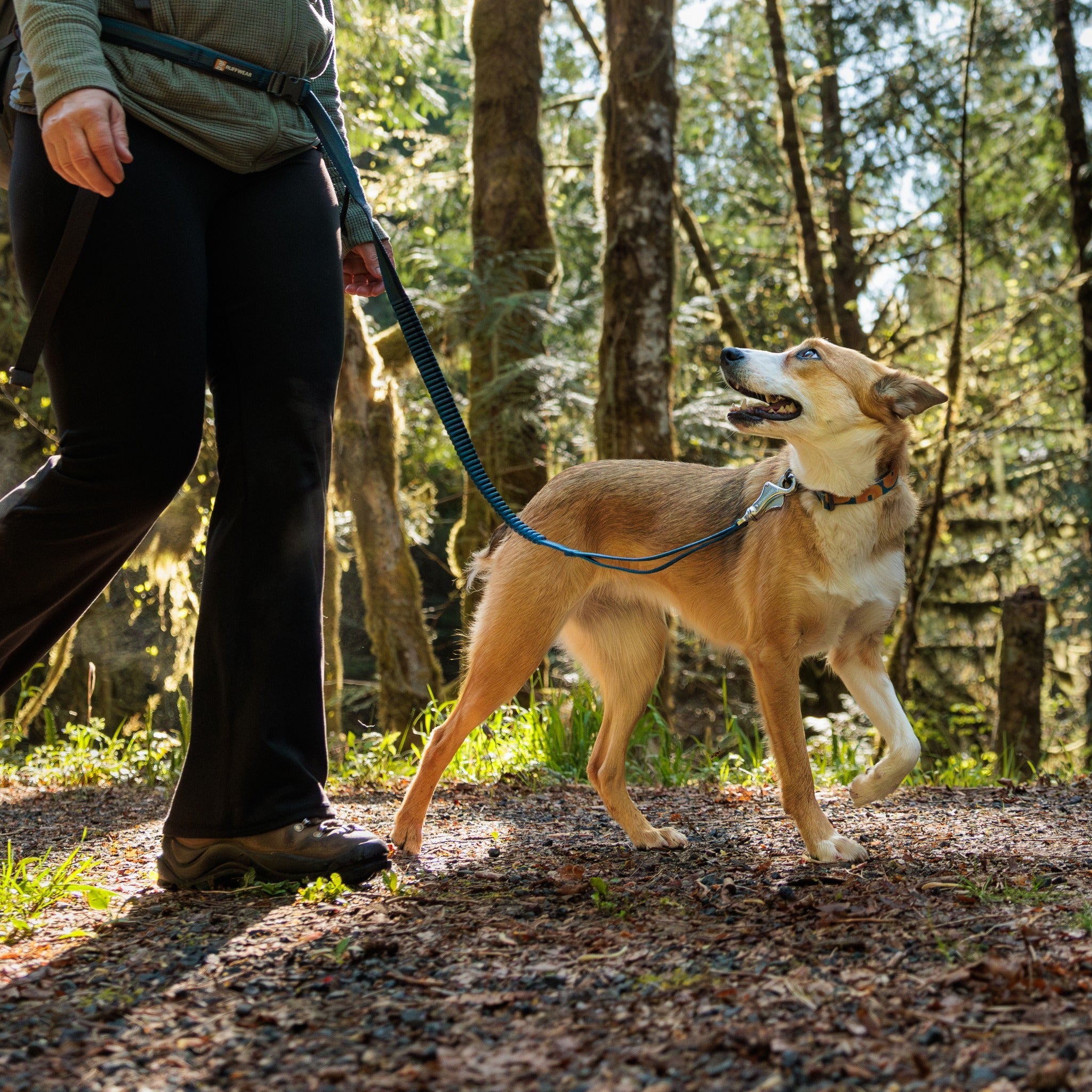 Ruffwear Crag Dog Collar