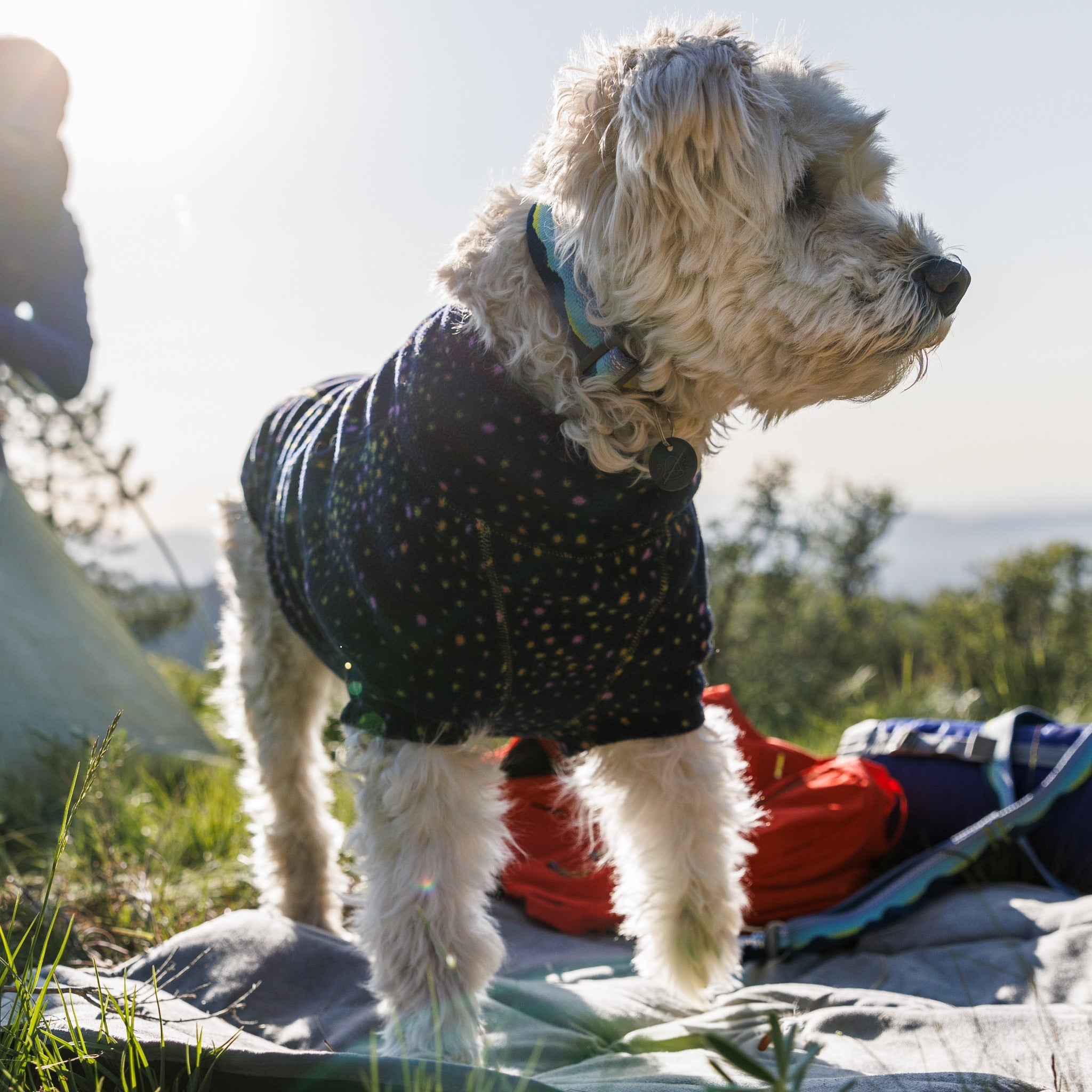 Crag collar deals