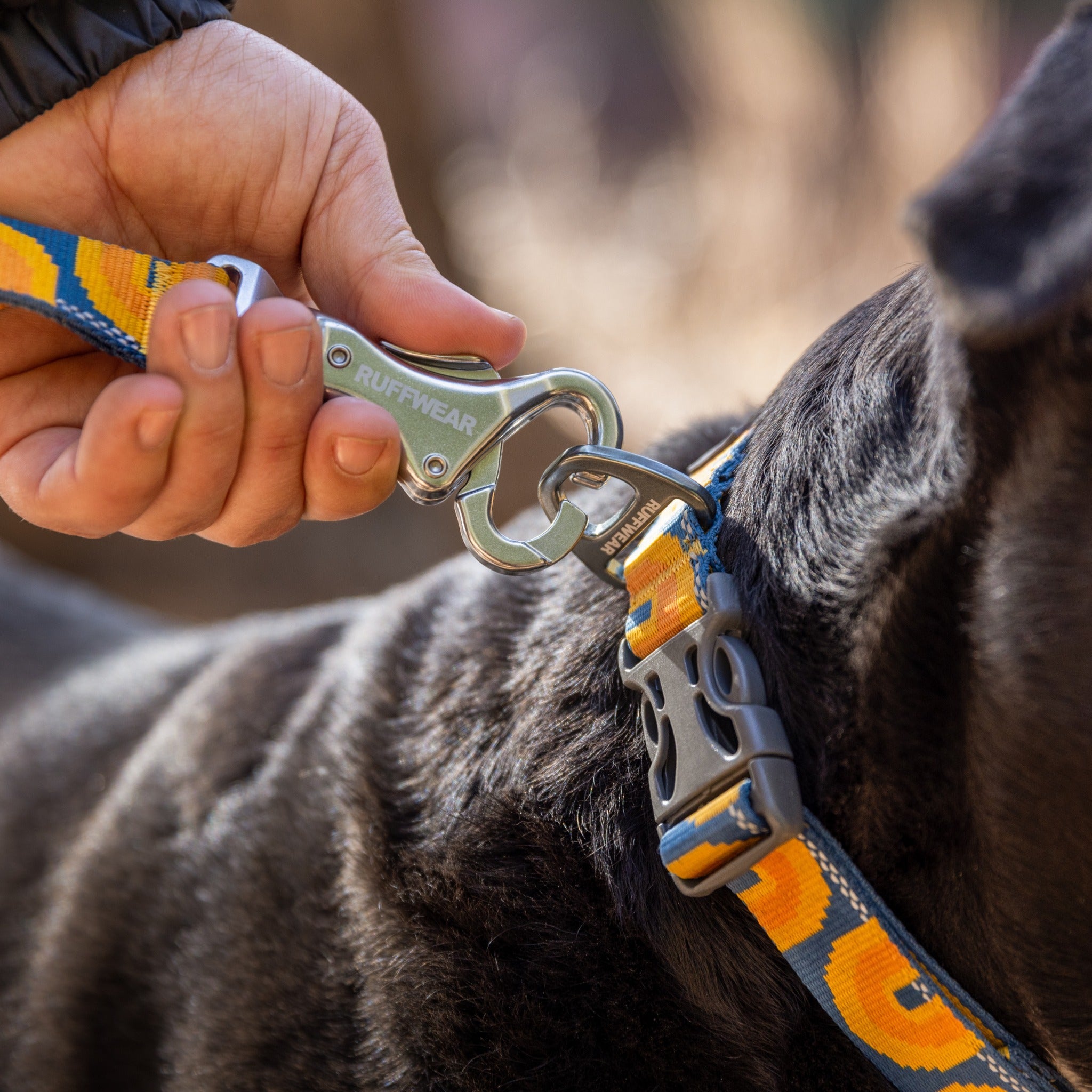 Ruffwear Crag Leash Correa para perros