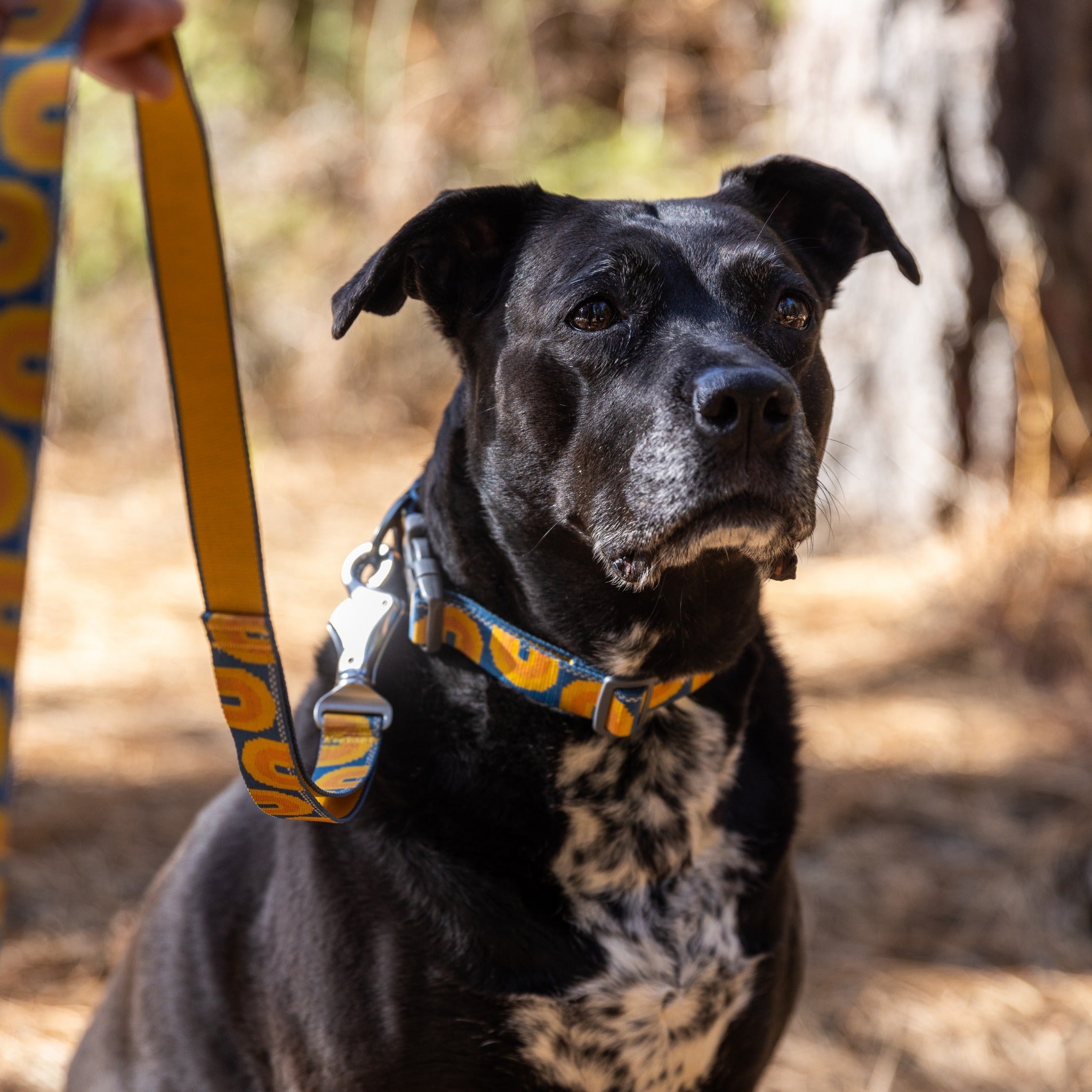 Ruffwear Crag Leash Correa para perros