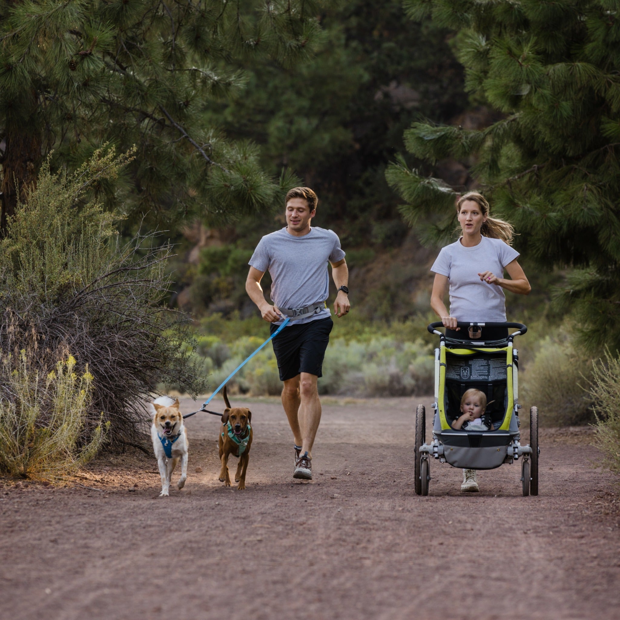 Ruffwear Double Track Dog Leash Coupler