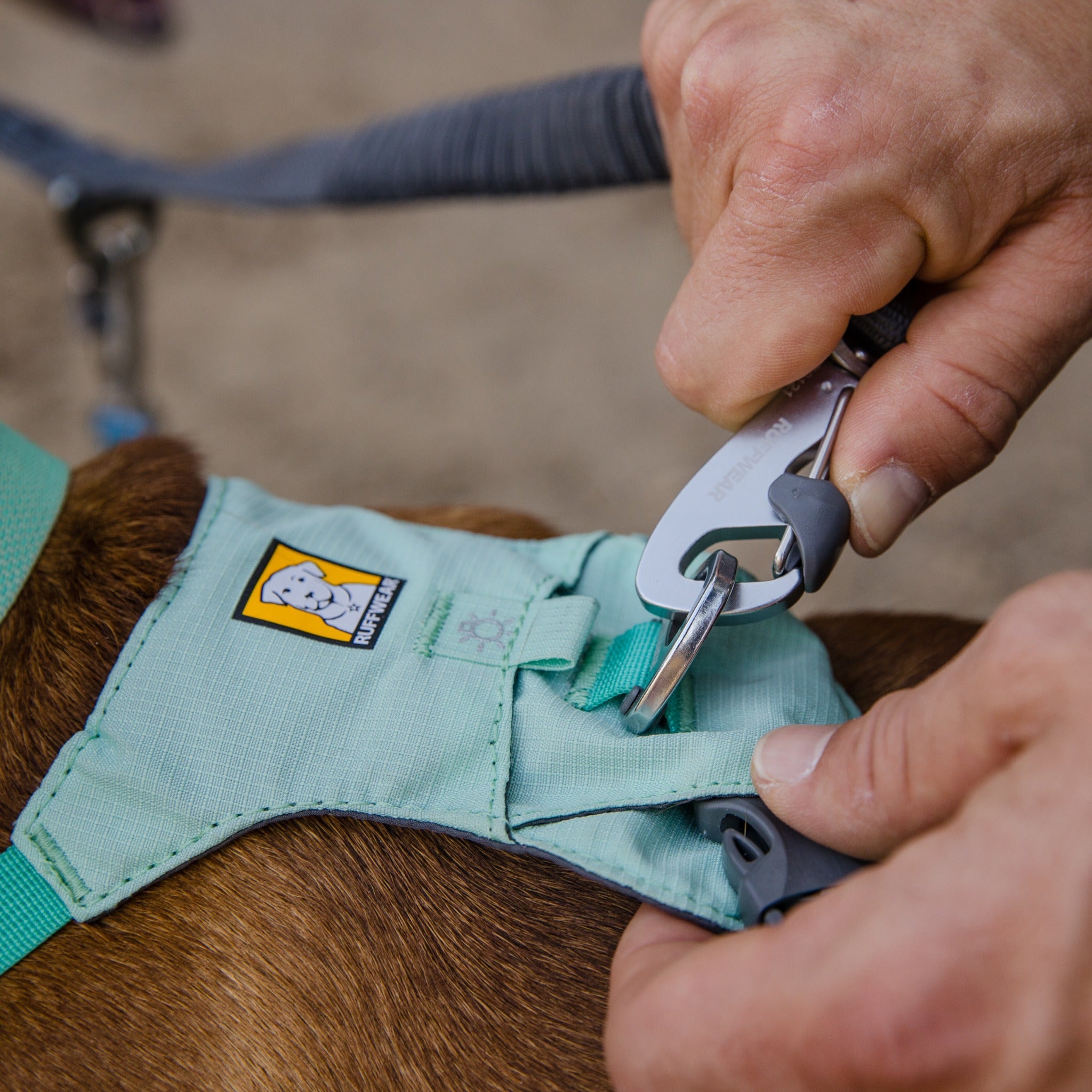 Ruffwear Double Track Dog Leash Coupler